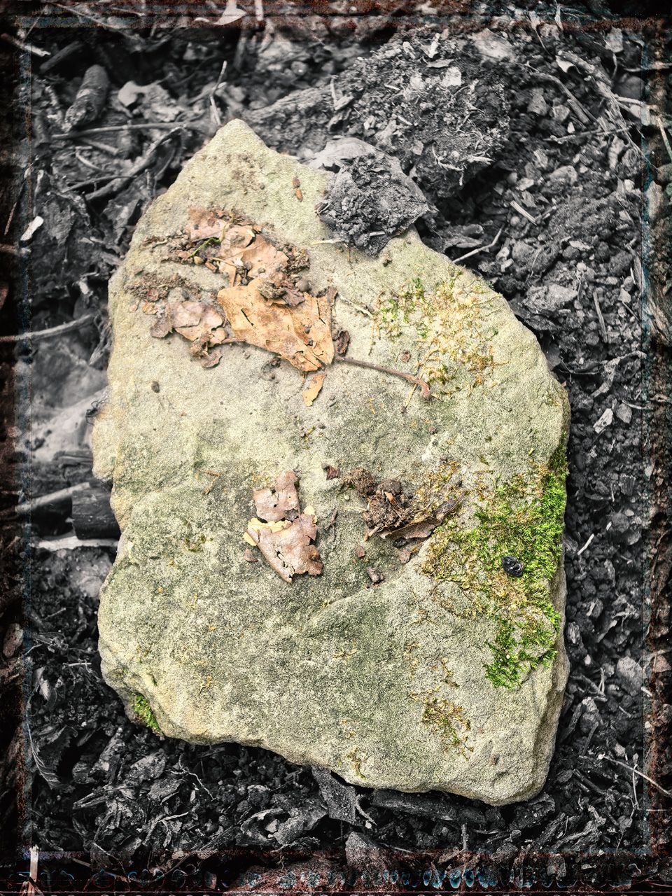 5 IMG_20250913_121551bs.jpg