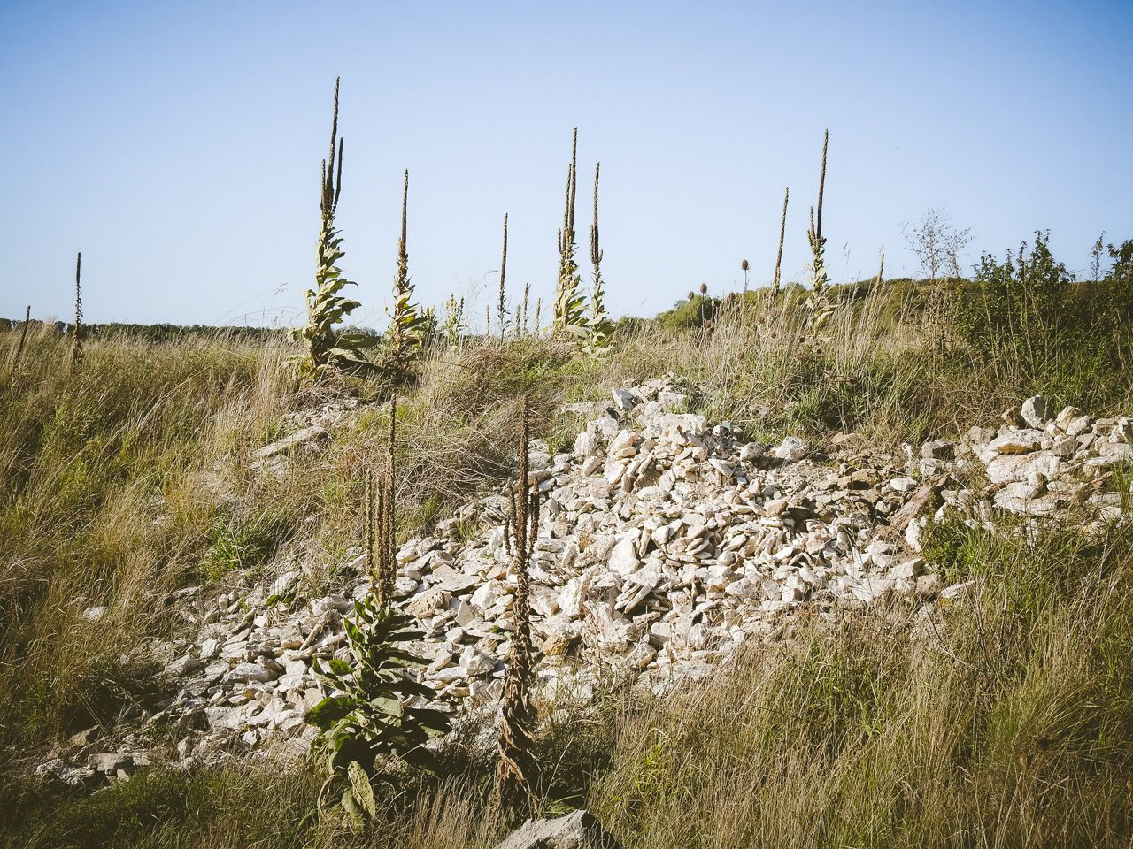 9 DSCN2715s.jpg