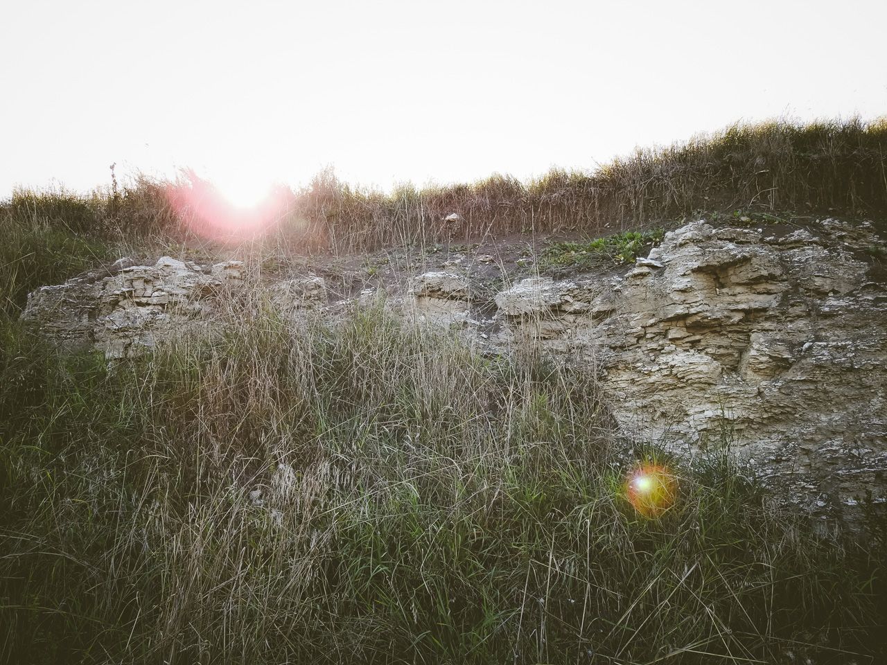 10 DSCN2748s.jpg