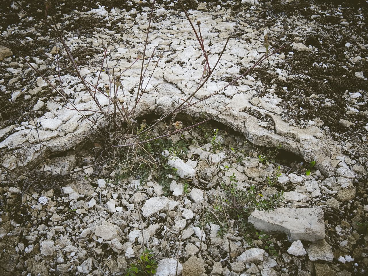 5 DSCN2753s.jpg