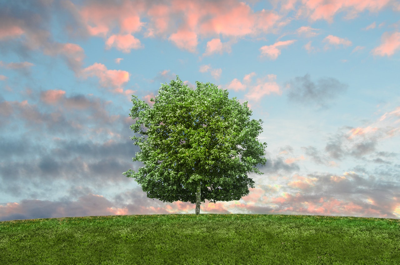 Clean air - Source: Pexels