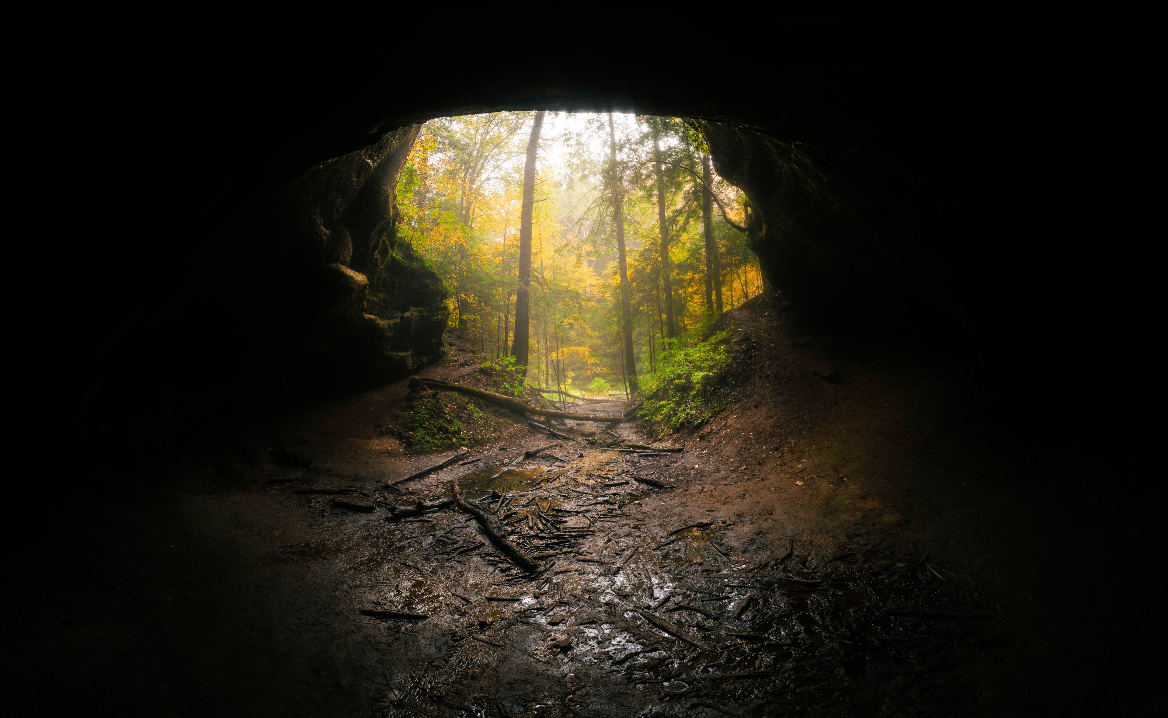 IMG_0505Pano web.jpg