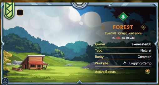 EVERFALL 1.jpg