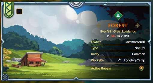 EVERFALL 2.jpg