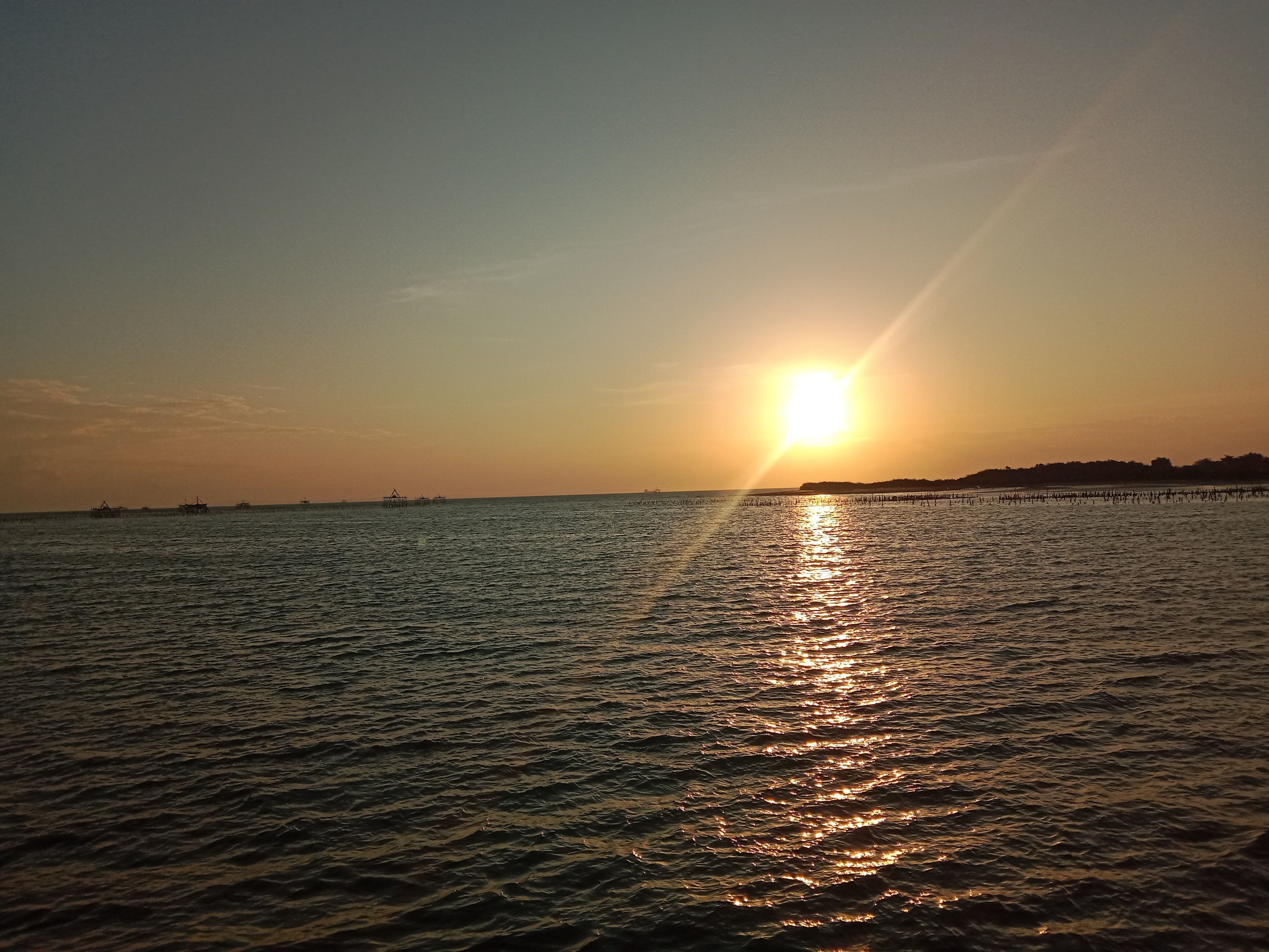 IMG_20250726_175316.jpg