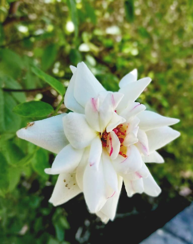 CYMERA_20220217_105548.jpg