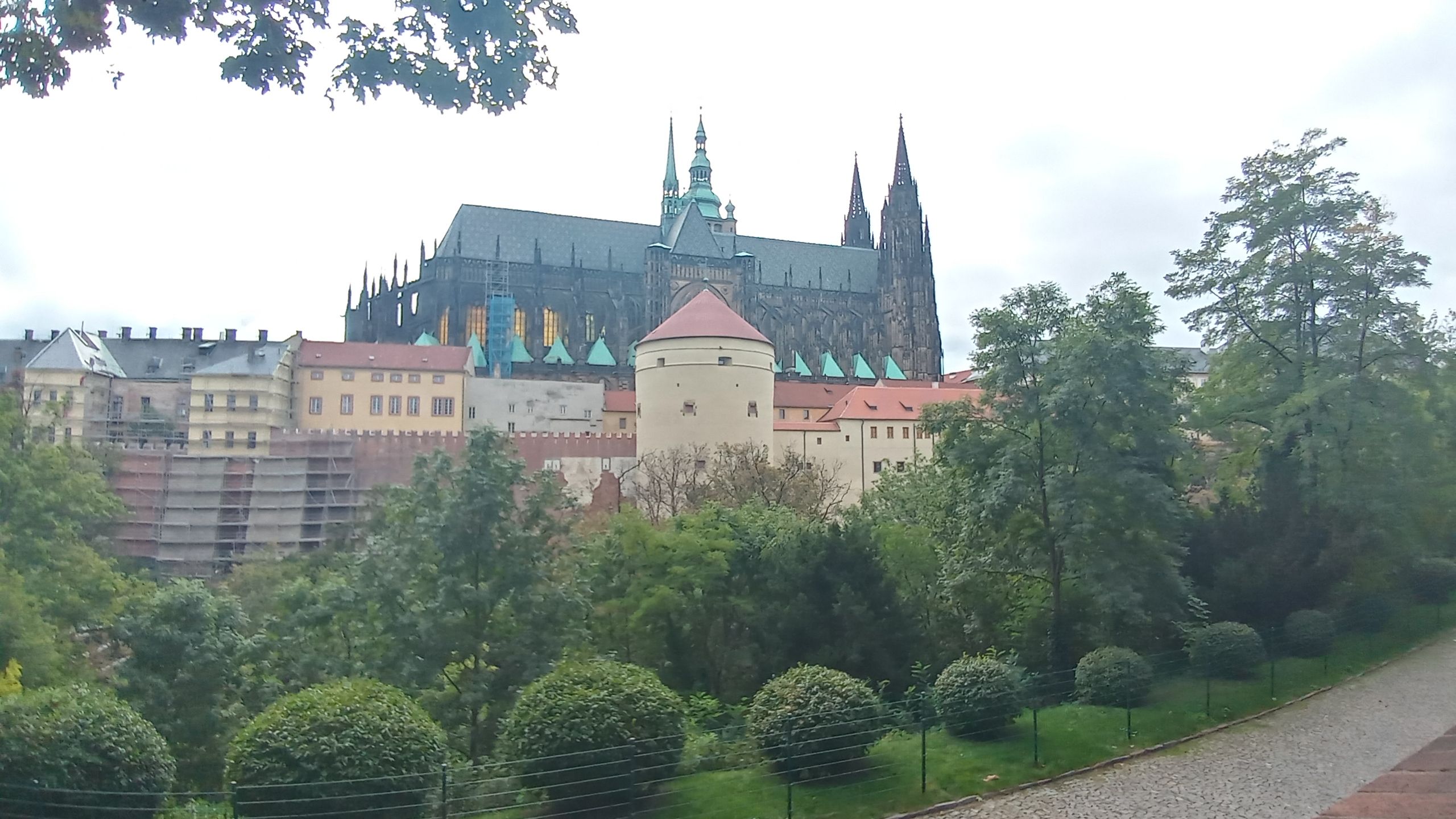 20190926_120137_HDR.jpg