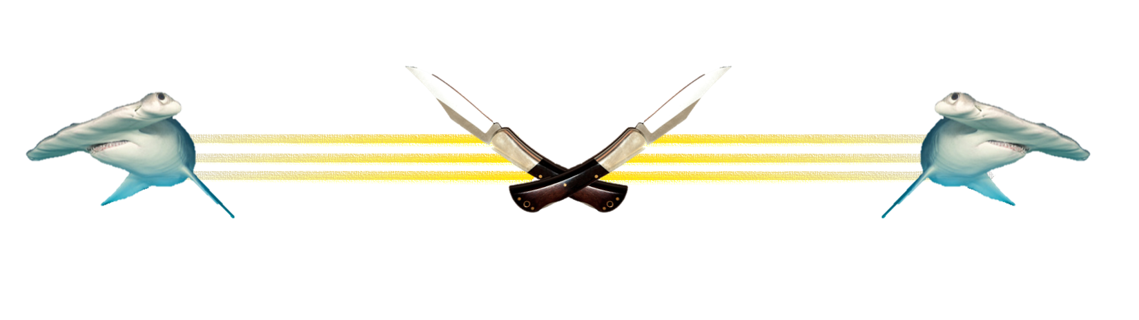 88888.png