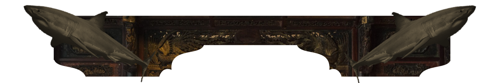 02555454.png