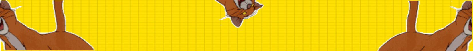 Imagen11.png