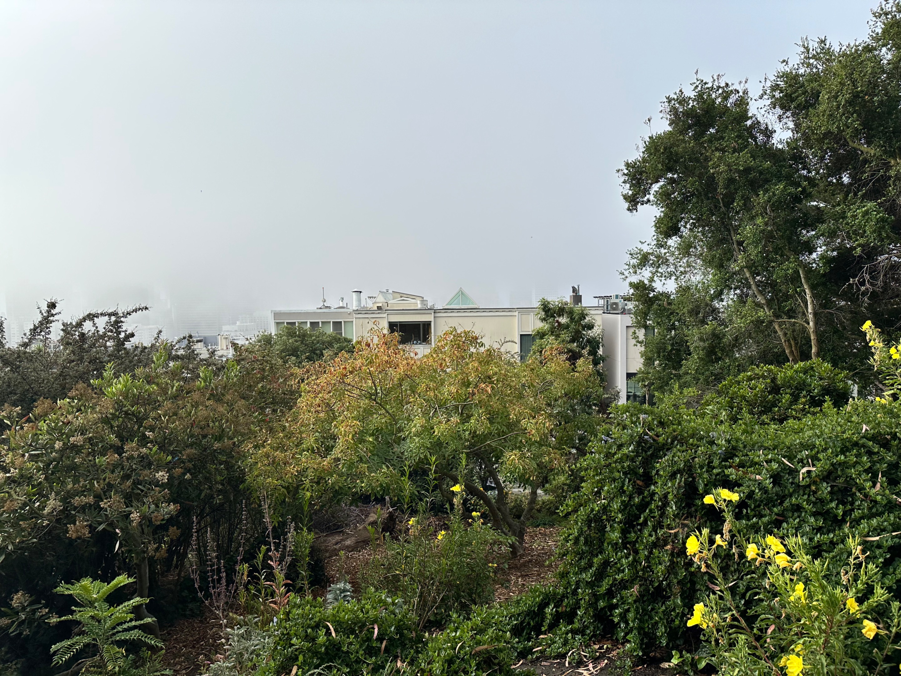 IMG_1407.jpeg