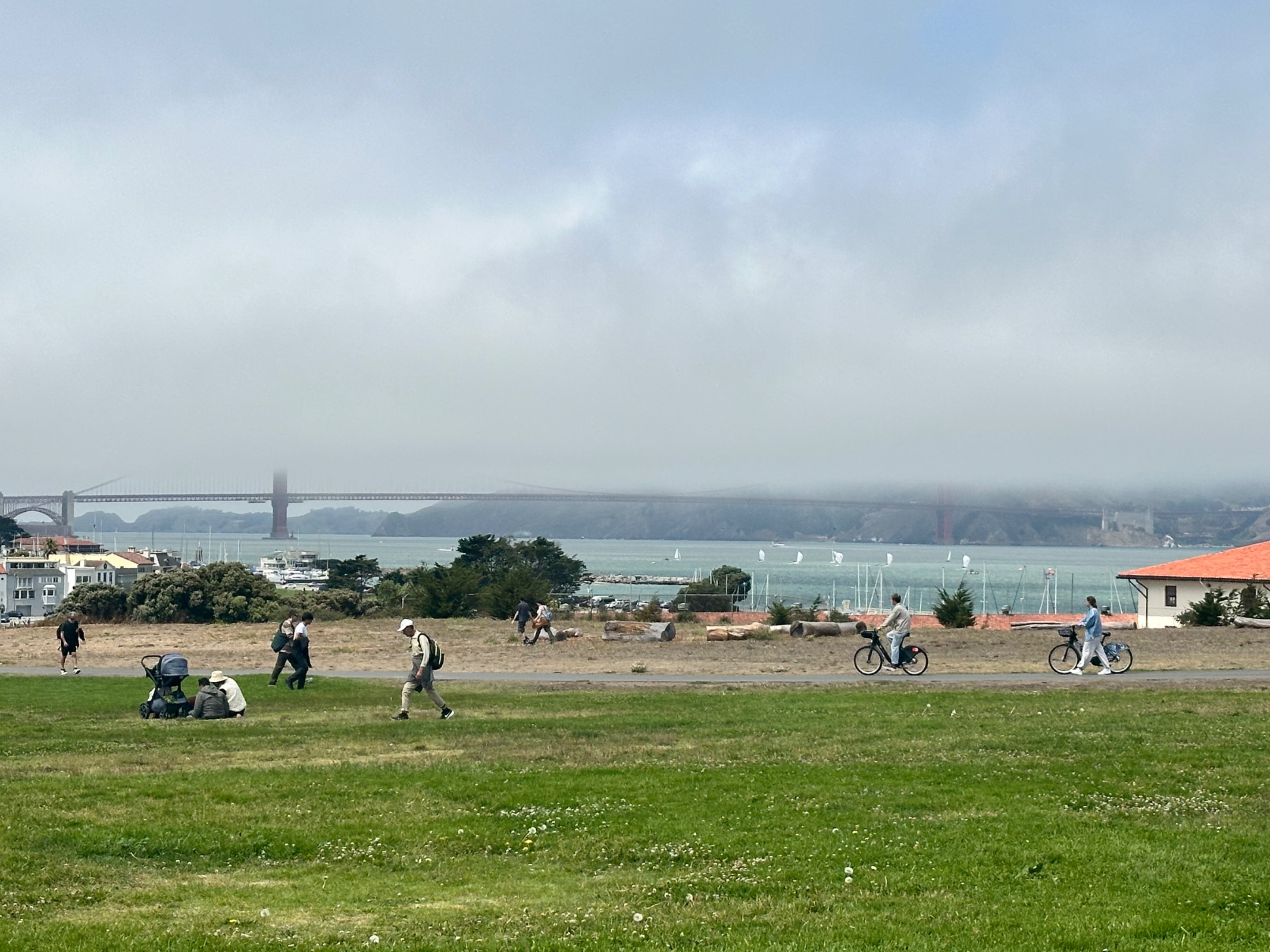 IMG_1607.jpeg