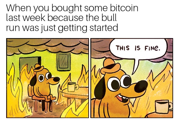 1000018050.jpg