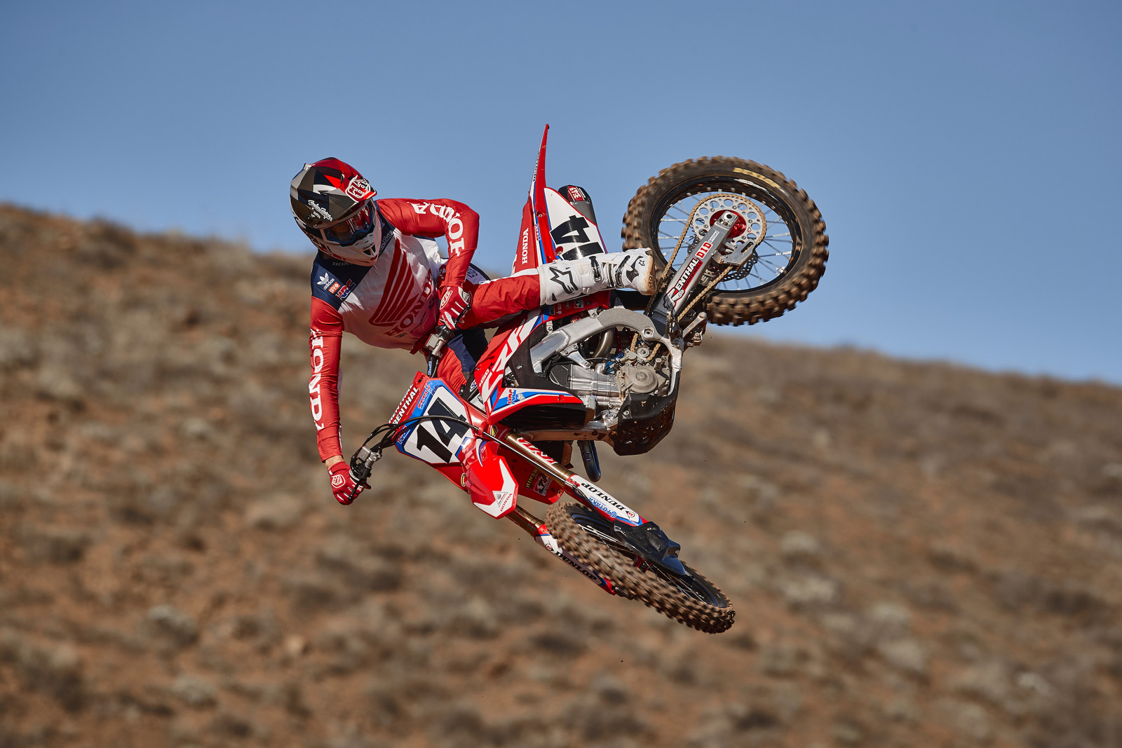 s1600_19Seely_12_896256.jpg