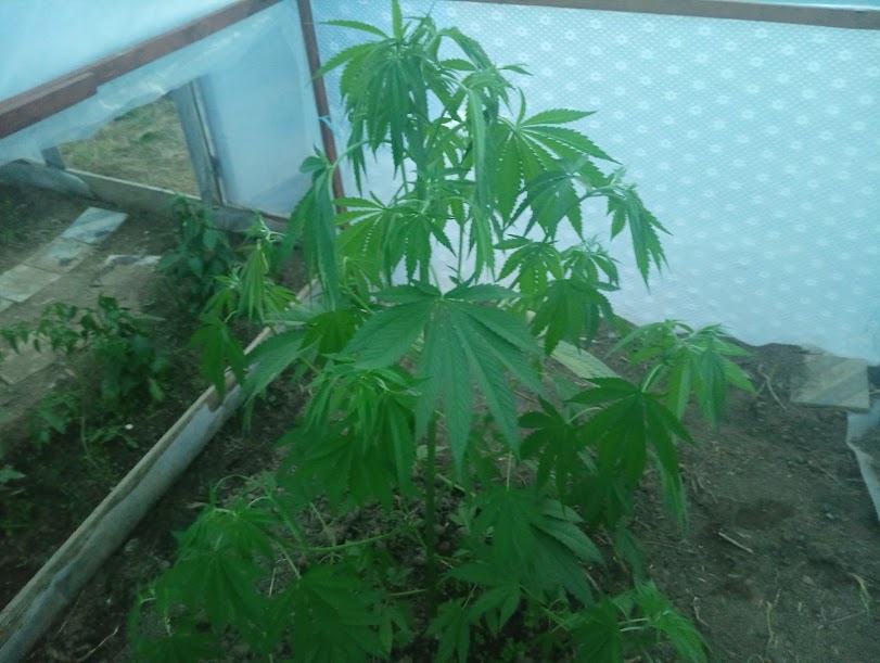 foto 2.jpg