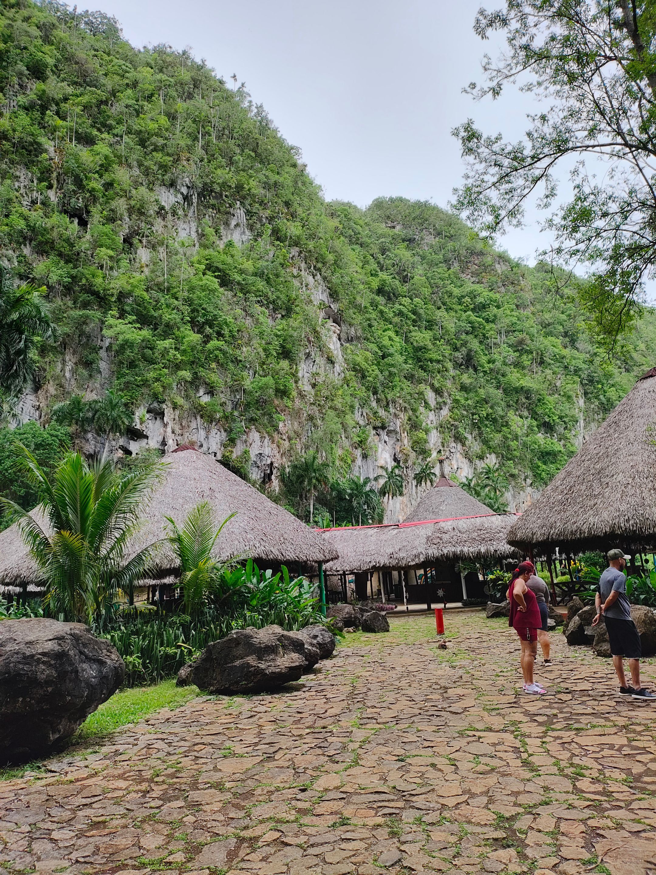 IMG_20250603_094730613_HDR.jpg
