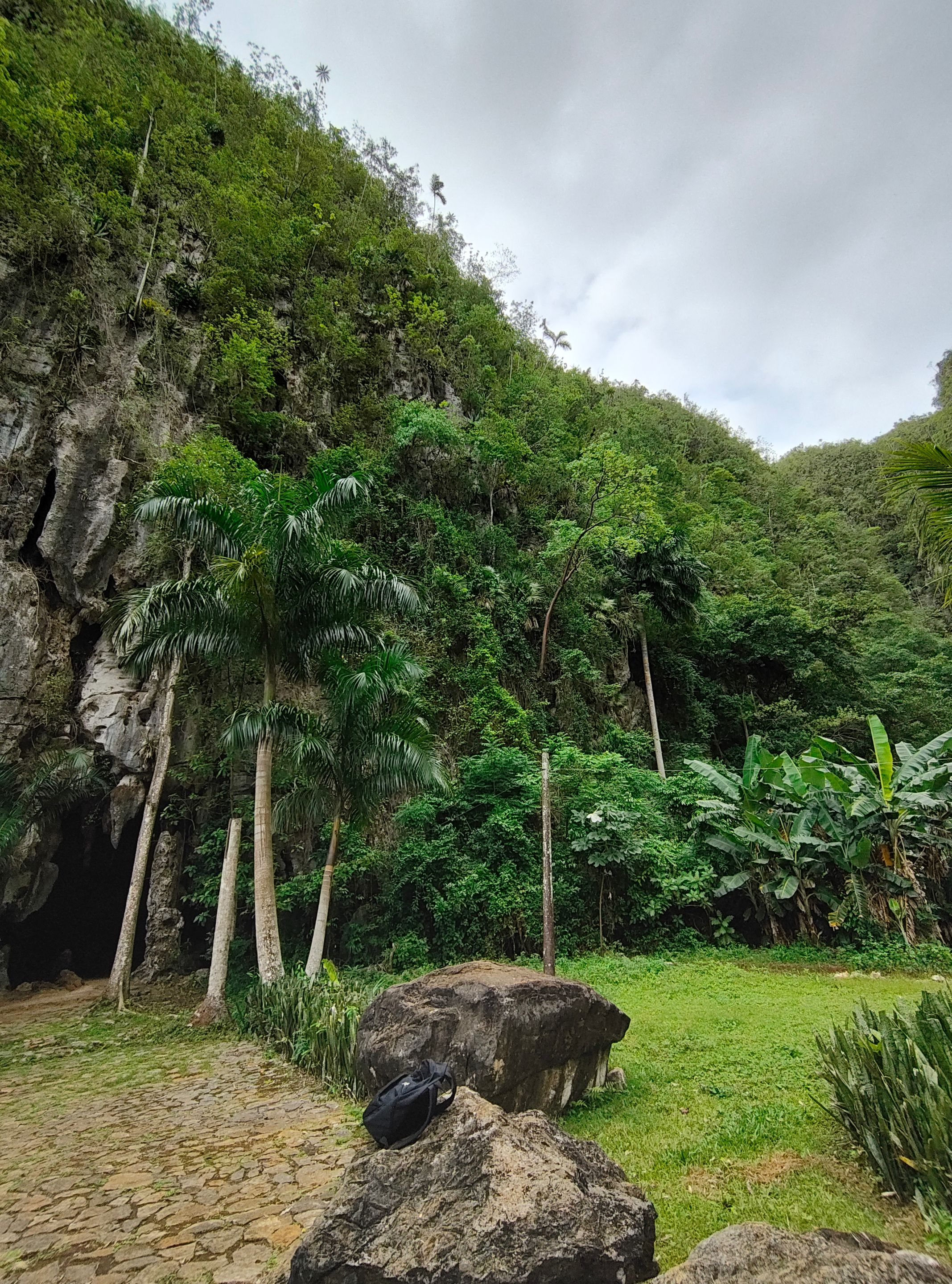 IMG_20250603_095236922_HDR.jpg