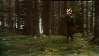 pizzaskip.gif