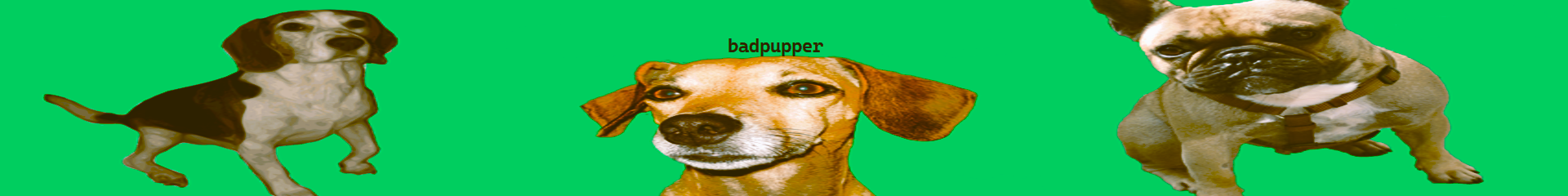 badpupper's cover