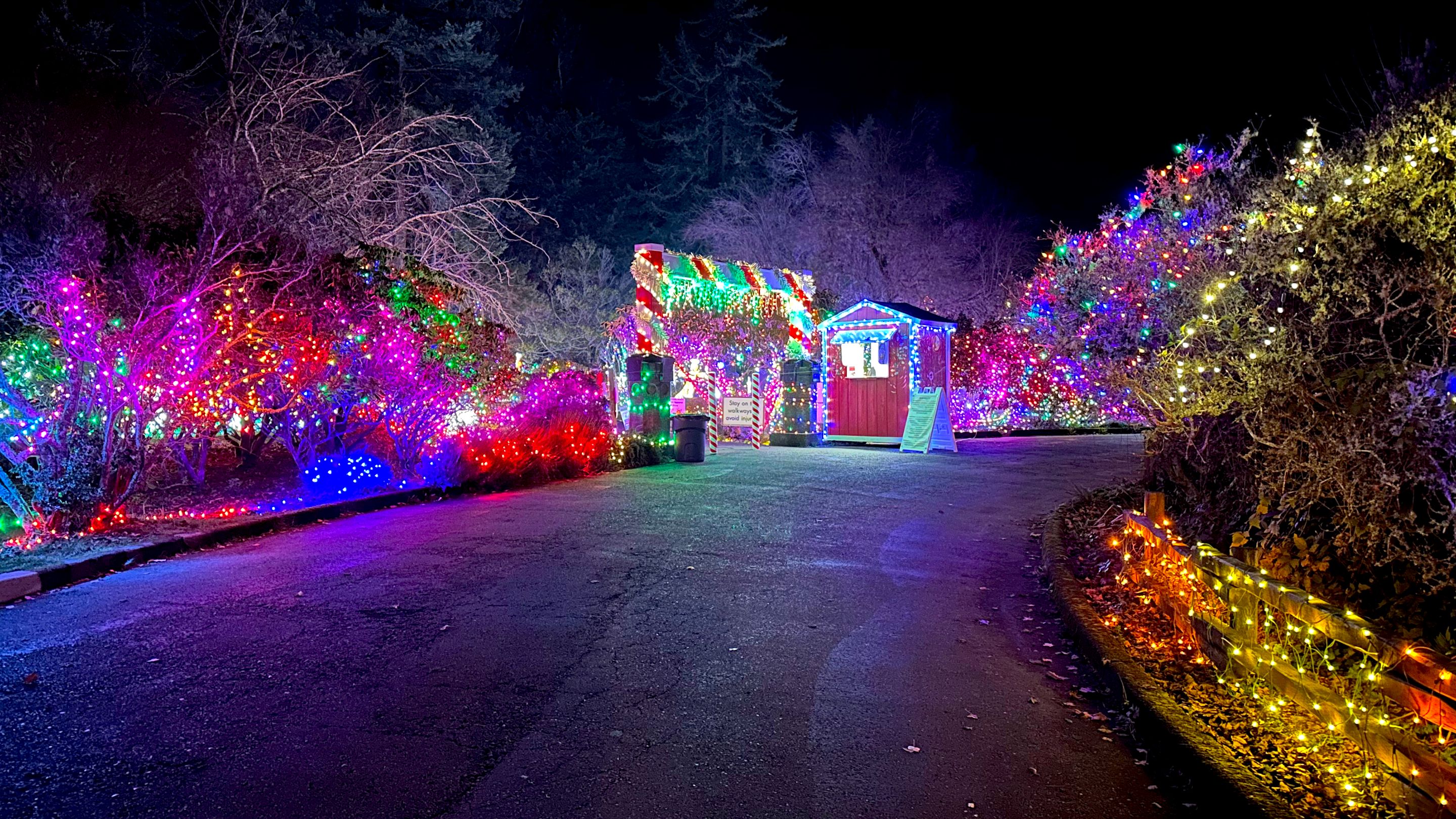 lightshow entrance.png