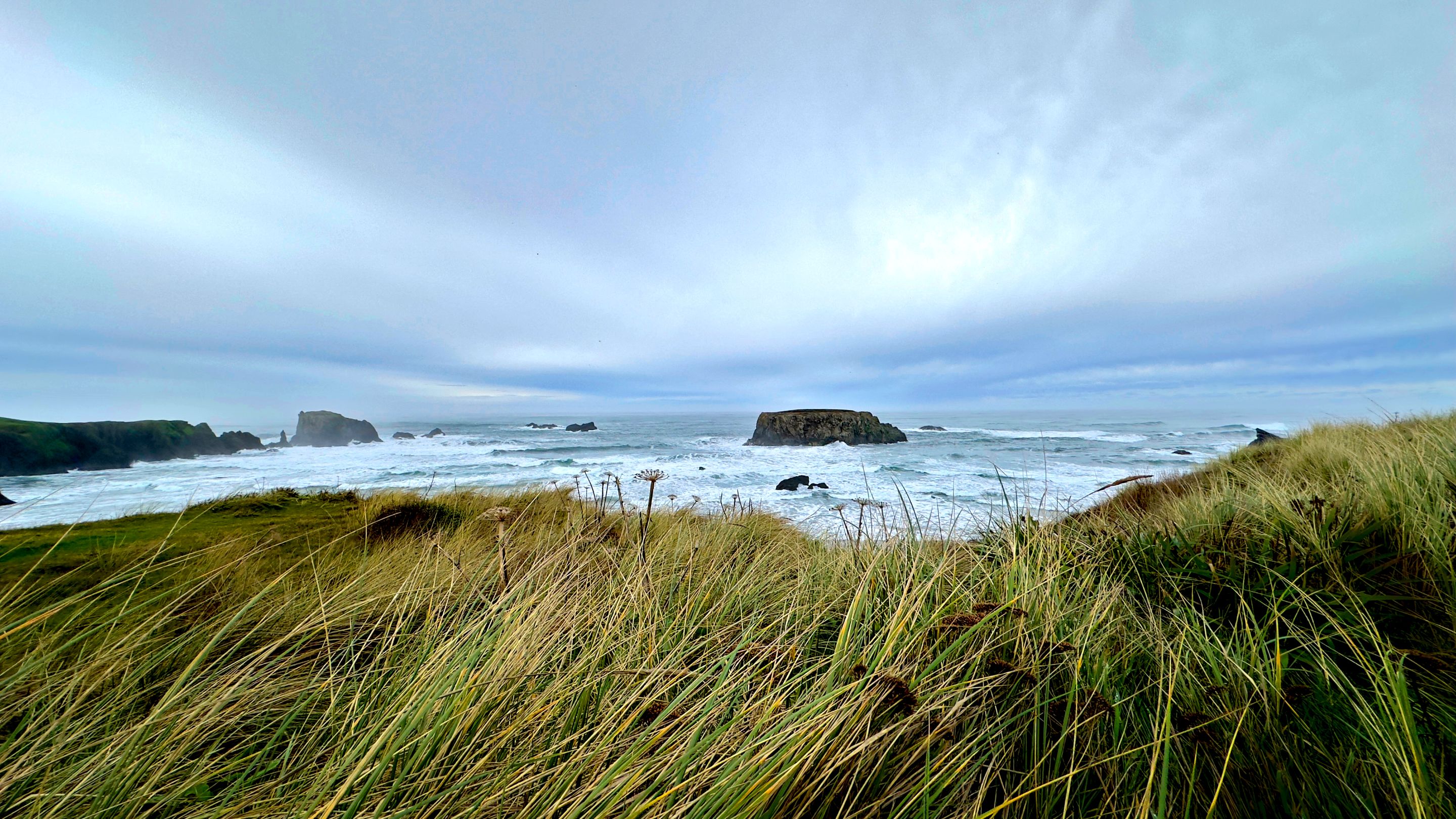 bandon beach grass overlook.jpg