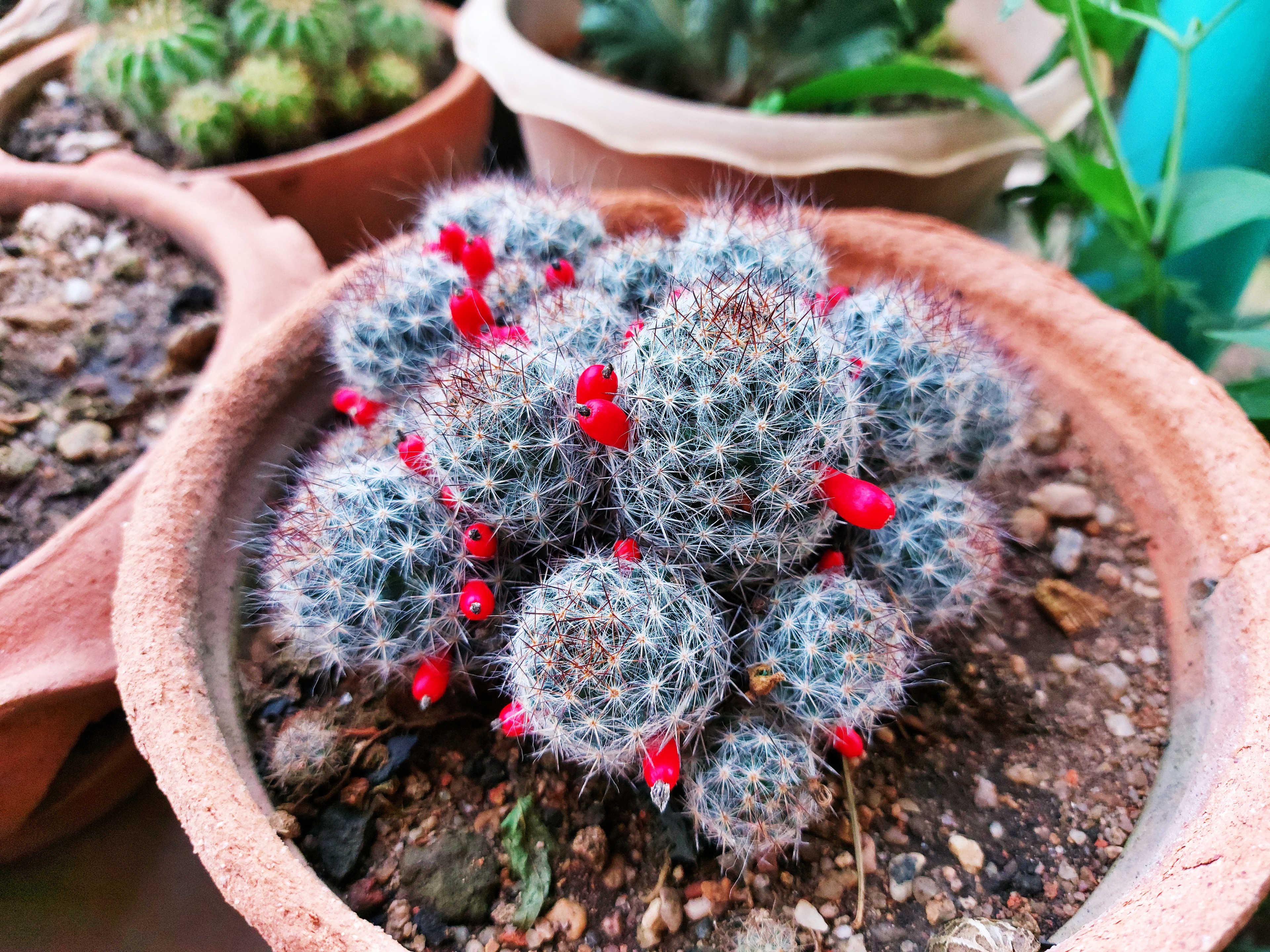 20201229_173008.jpg