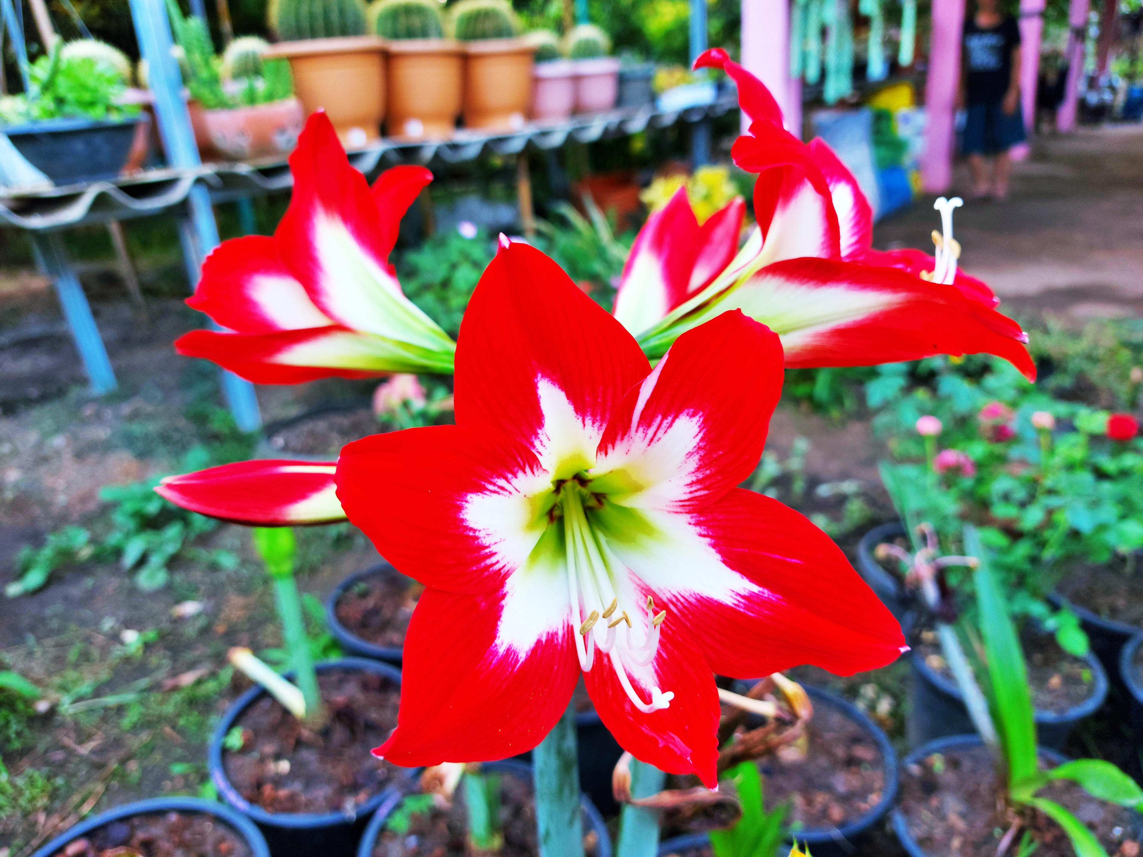 20201229_173346.jpg