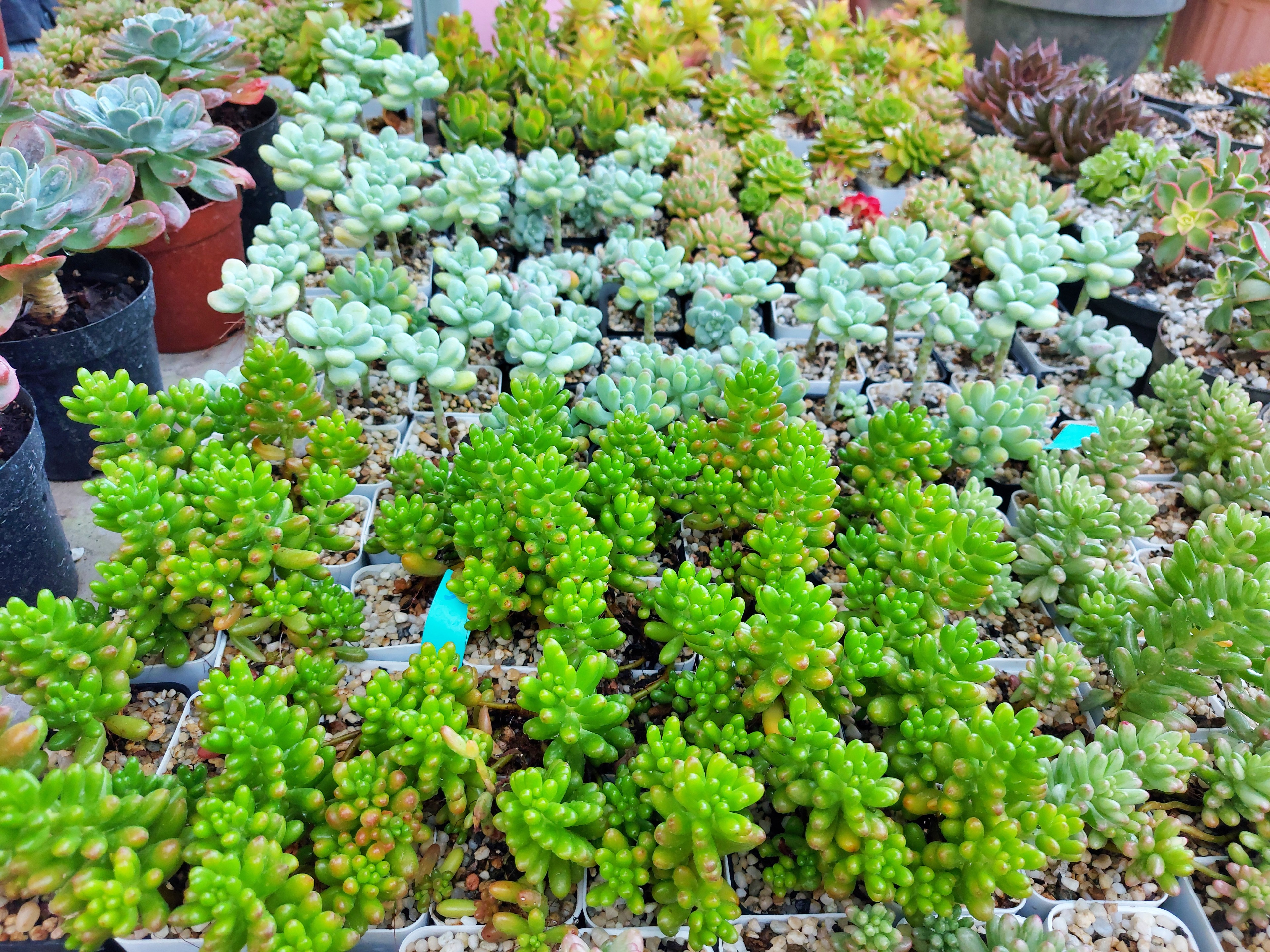20201229_173554.jpg