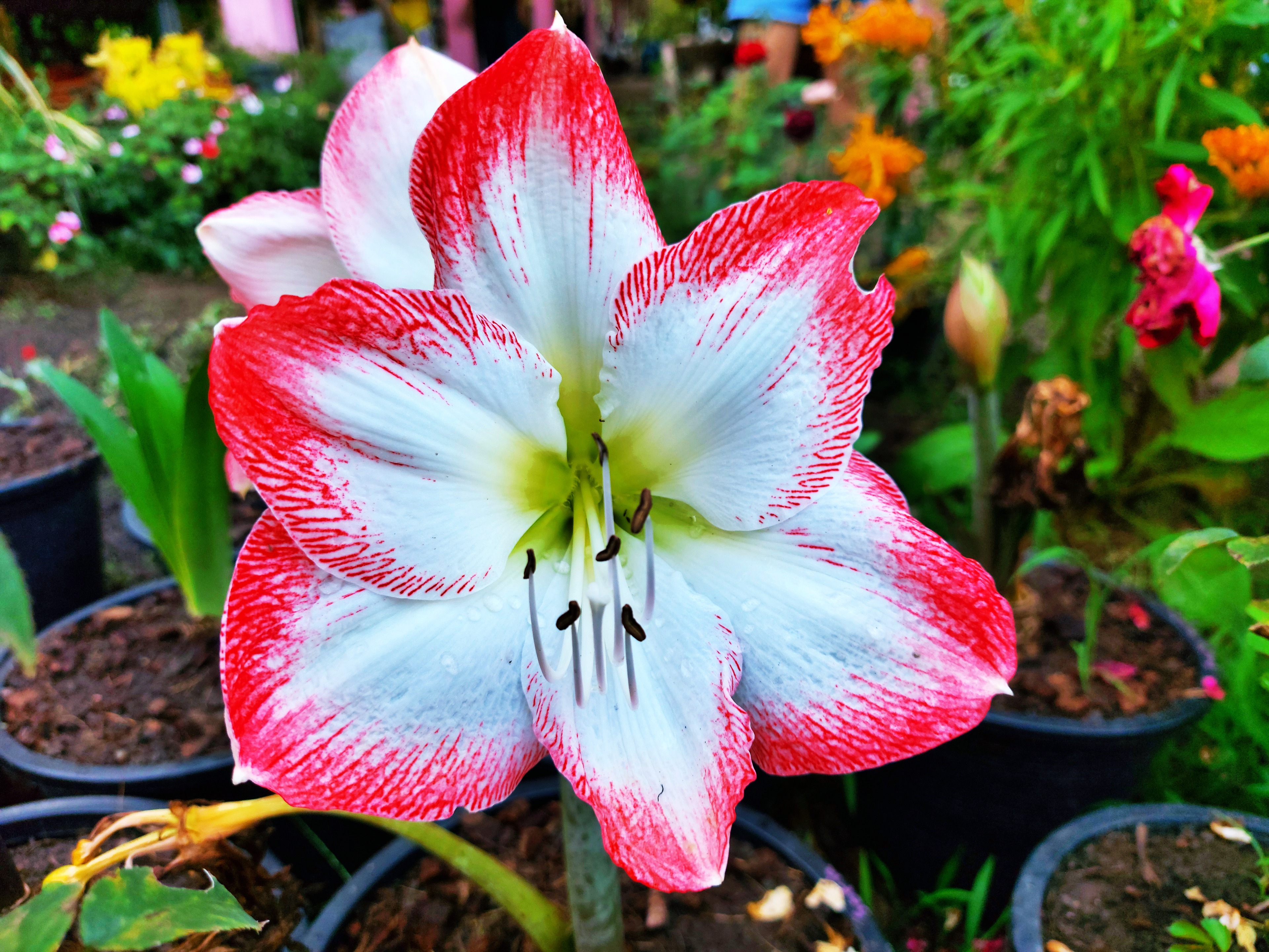 20201229_173321.jpg