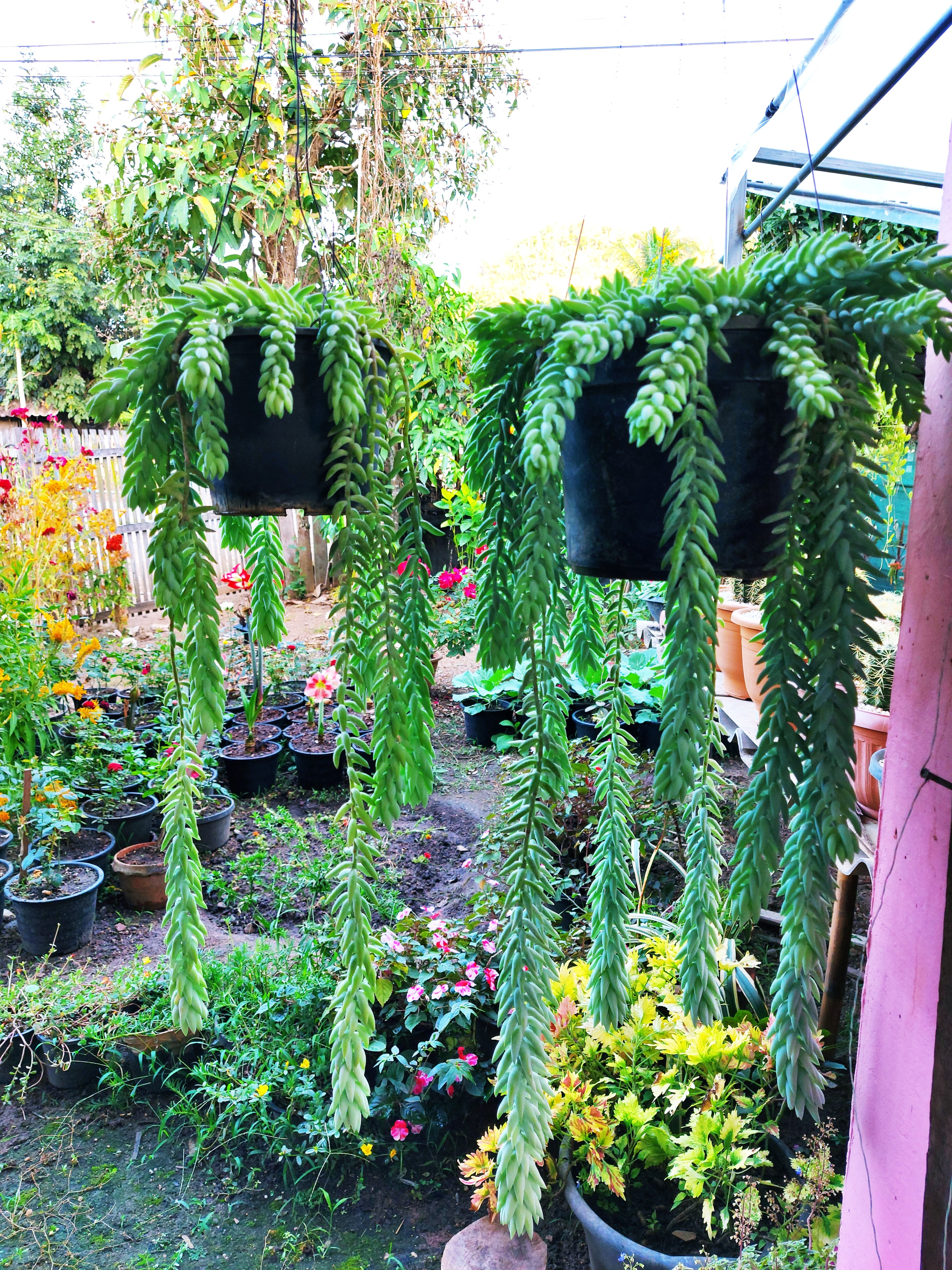 20201229_173223.jpg