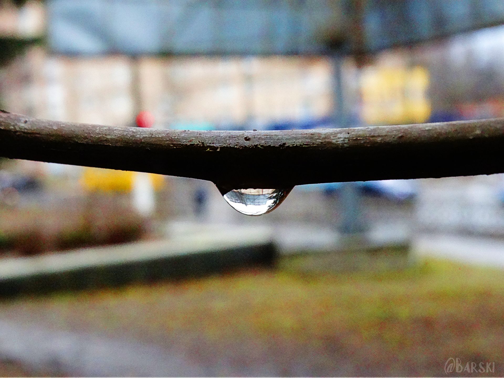DSC08134.png