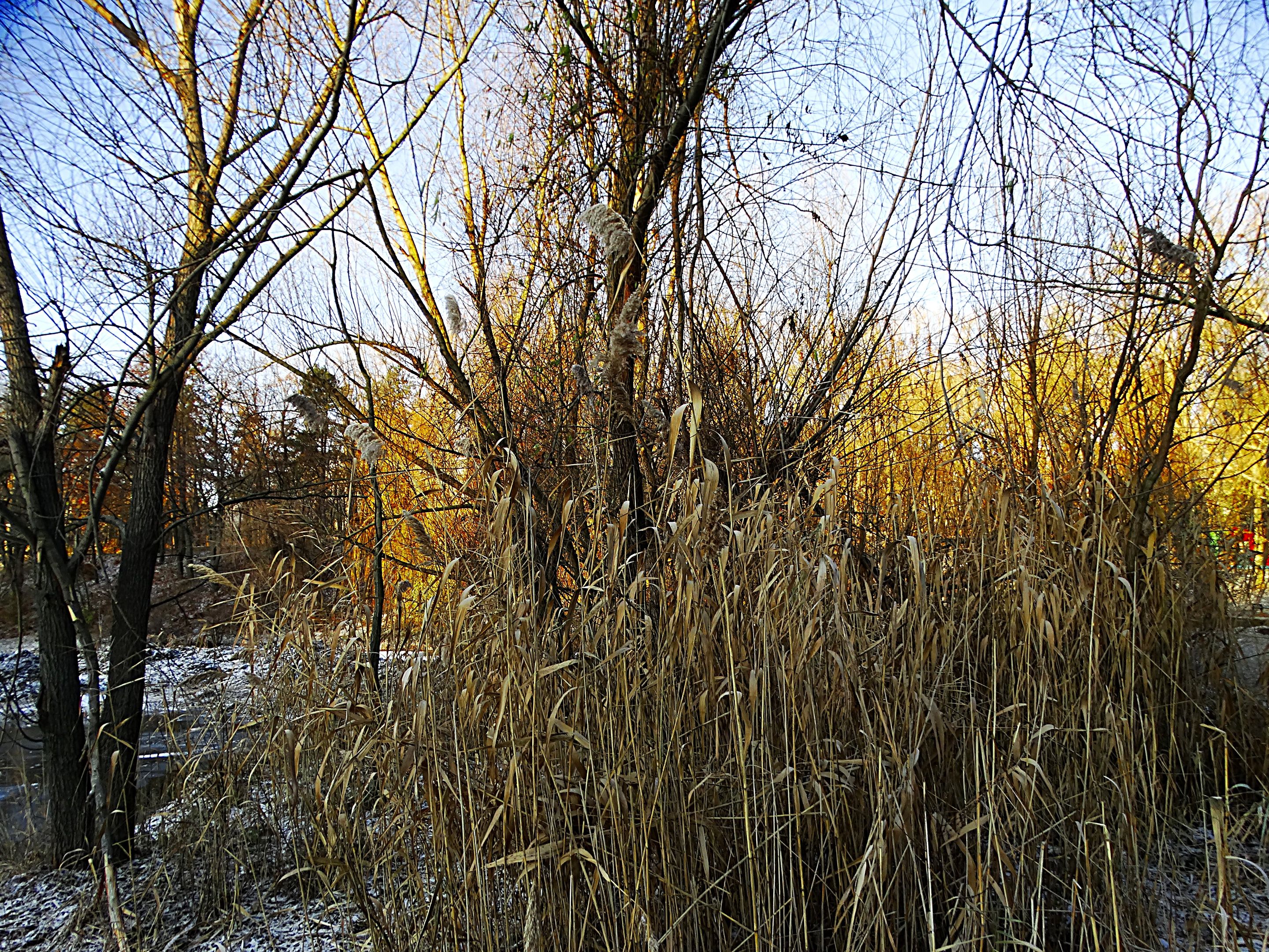 DSC04064.JPG
