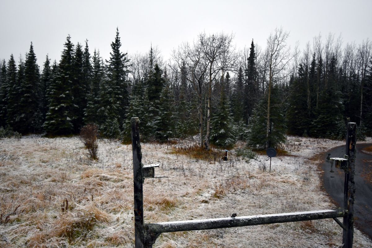 First snow image from 10:46 AM