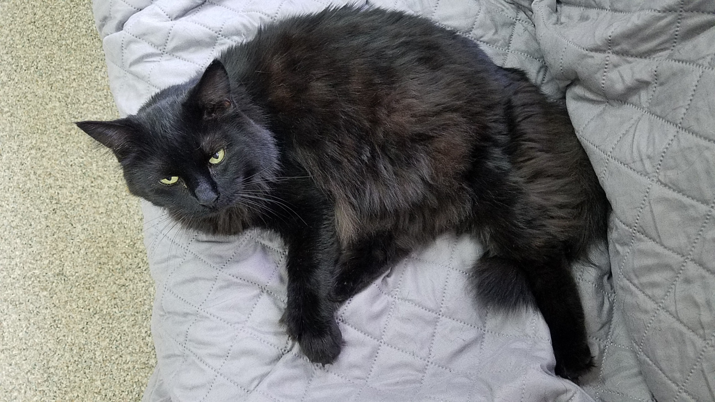 Max