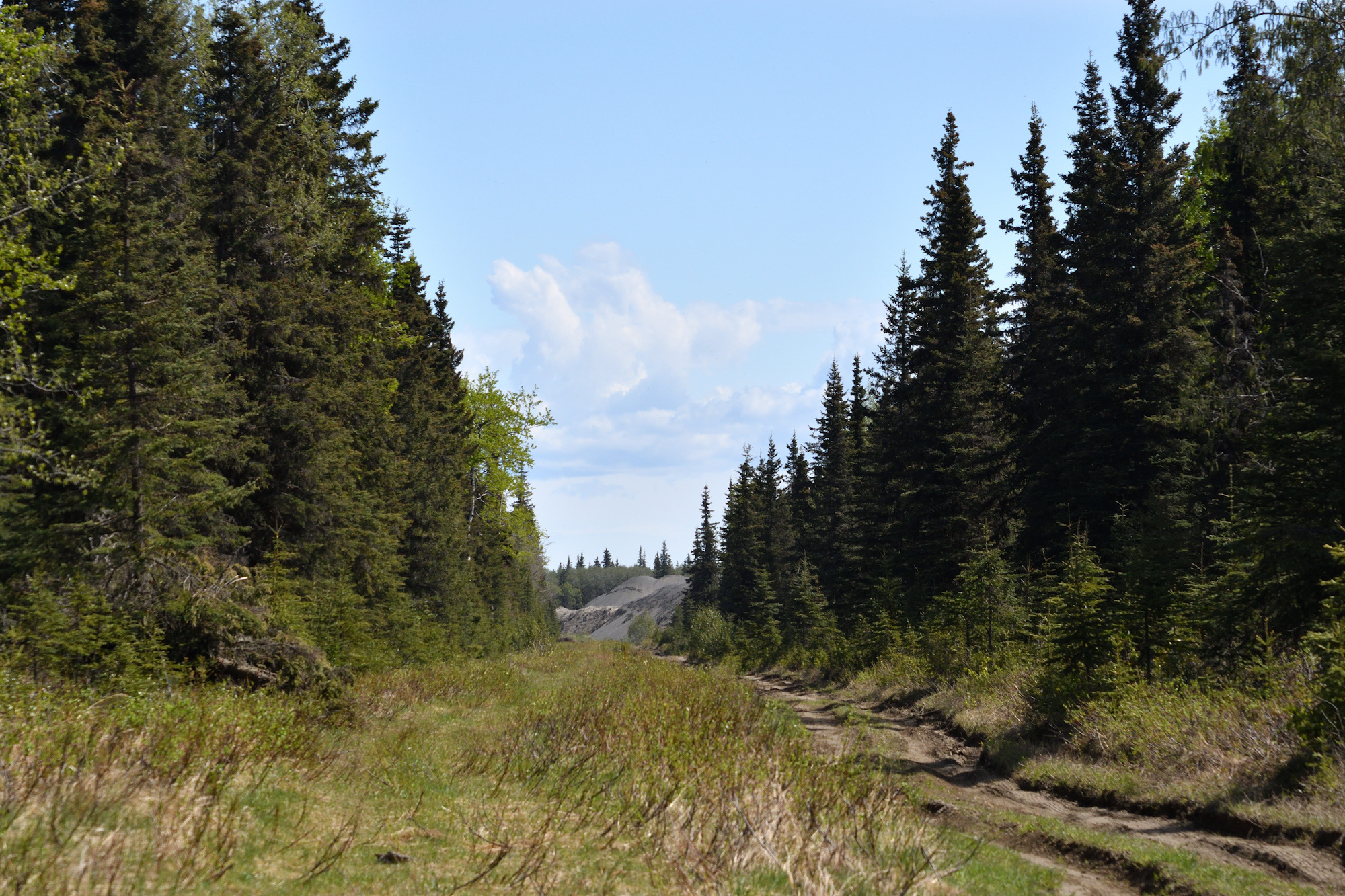 alaskanalleytrailupload.jpg