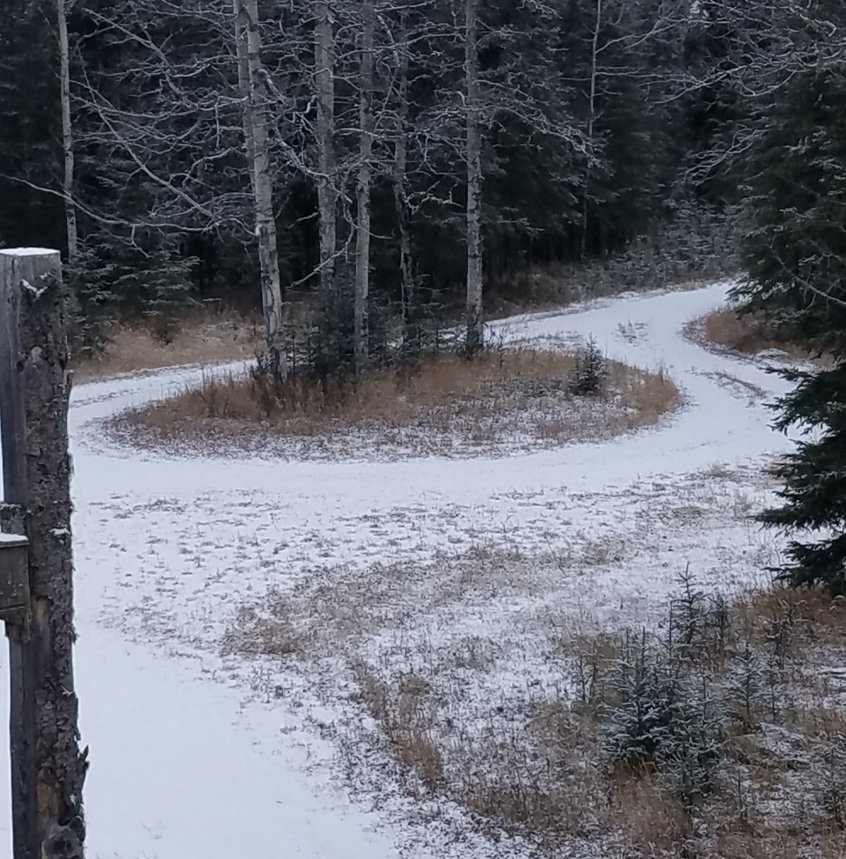 driveway 11-6-2020