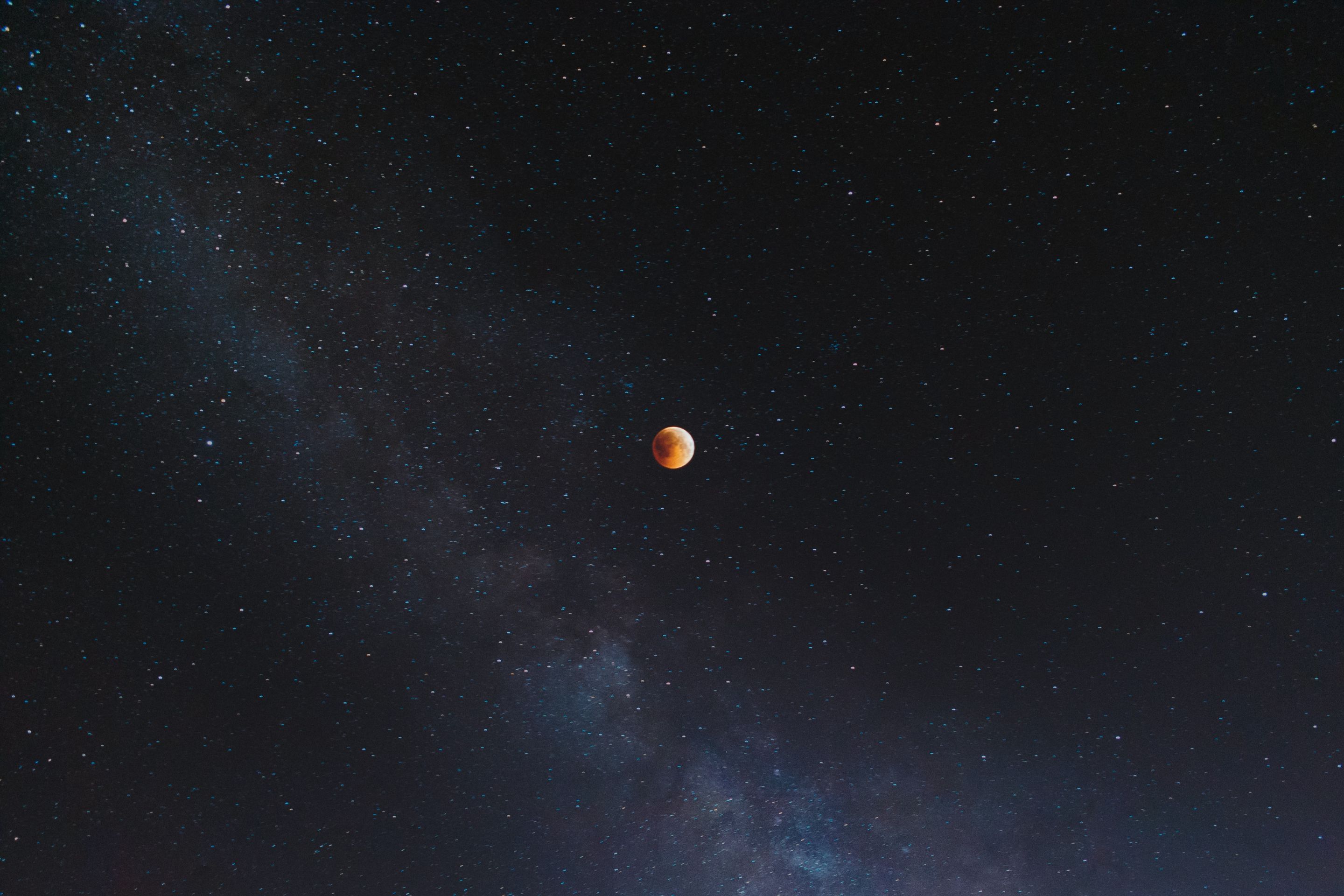 mohammad-alizade-yYSXgCI1jP8-unsplash.jpg