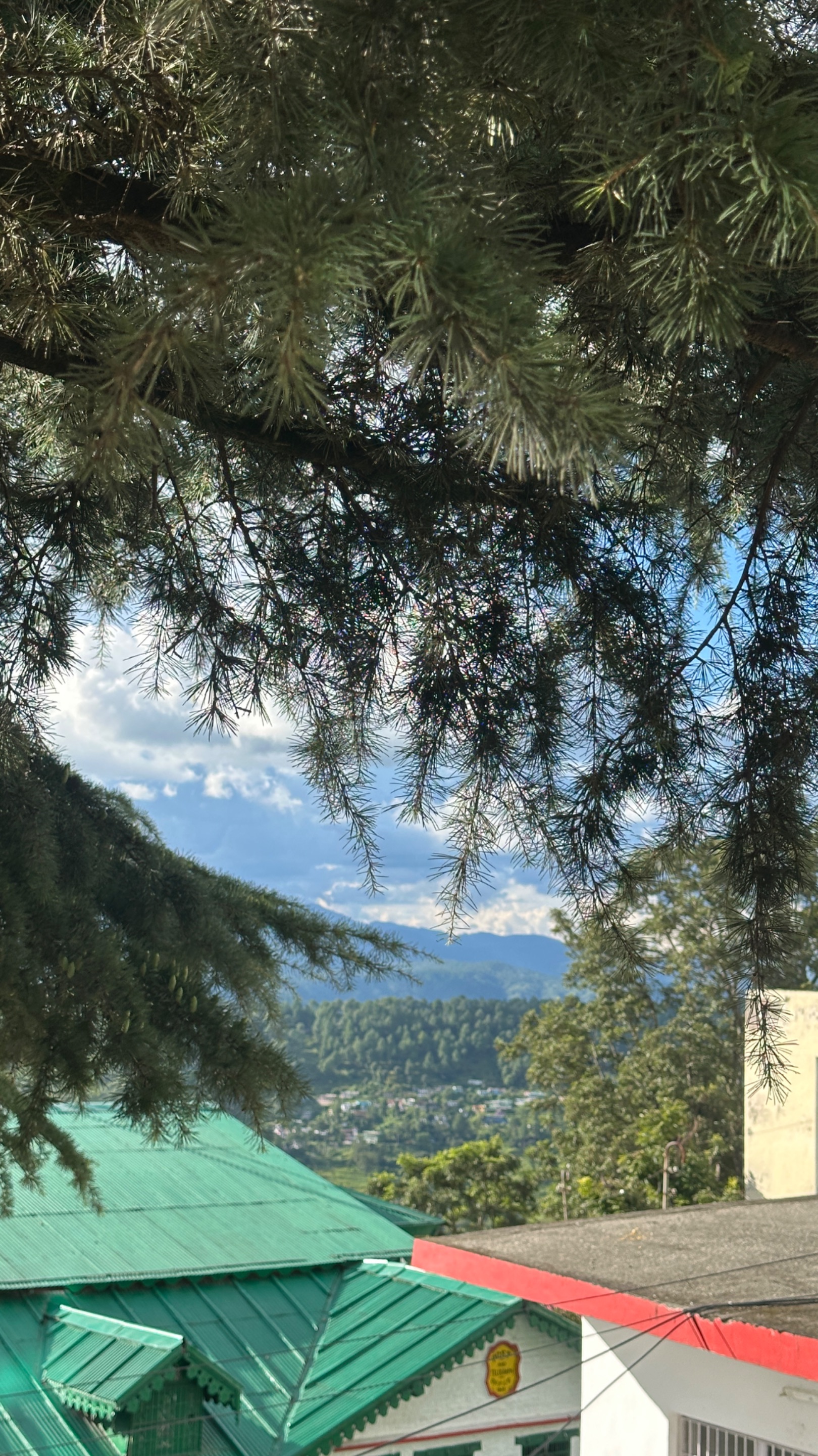 IMG_6322.jpeg