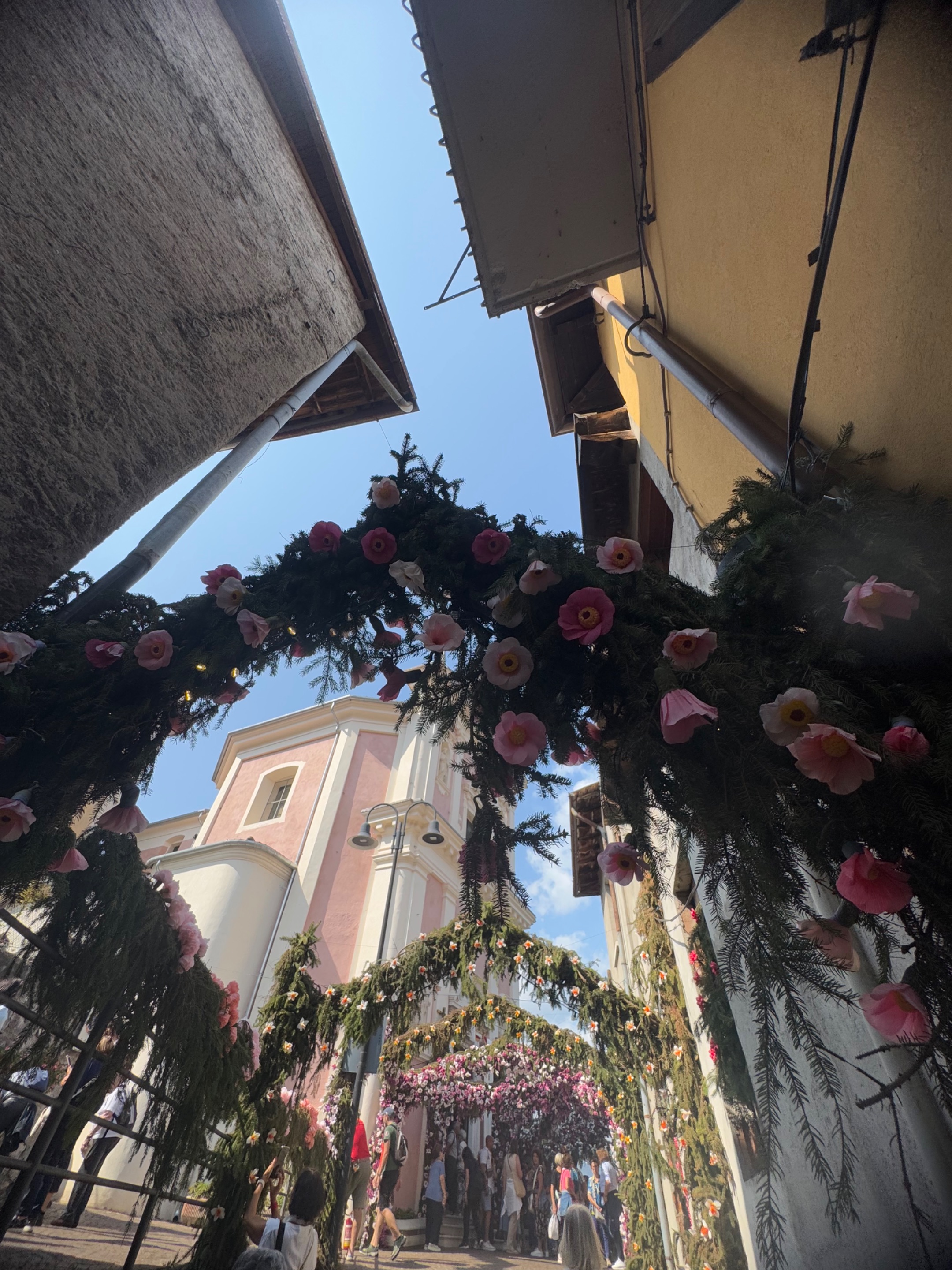 IMG_2234.jpeg