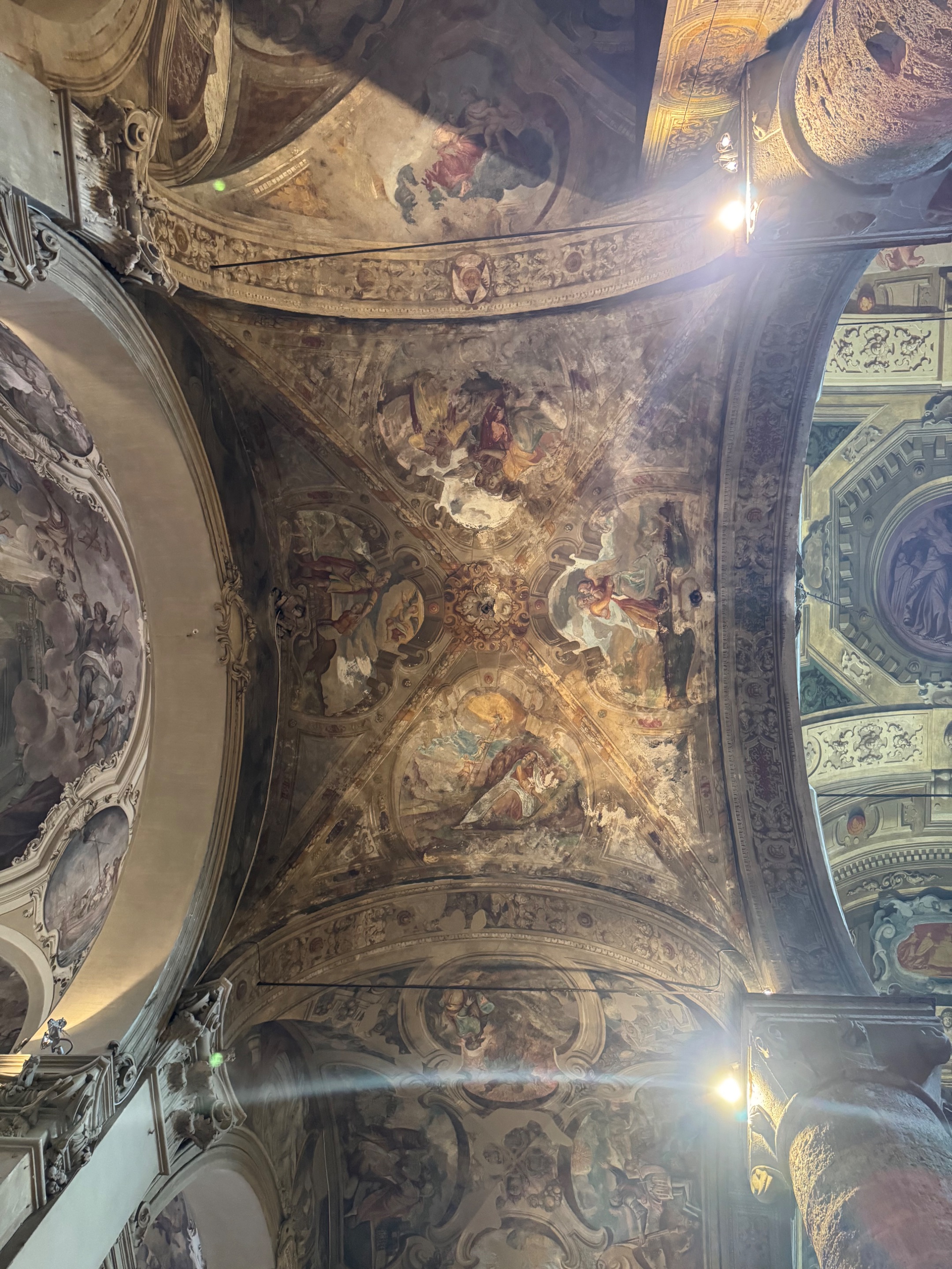 IMG_1517.jpeg