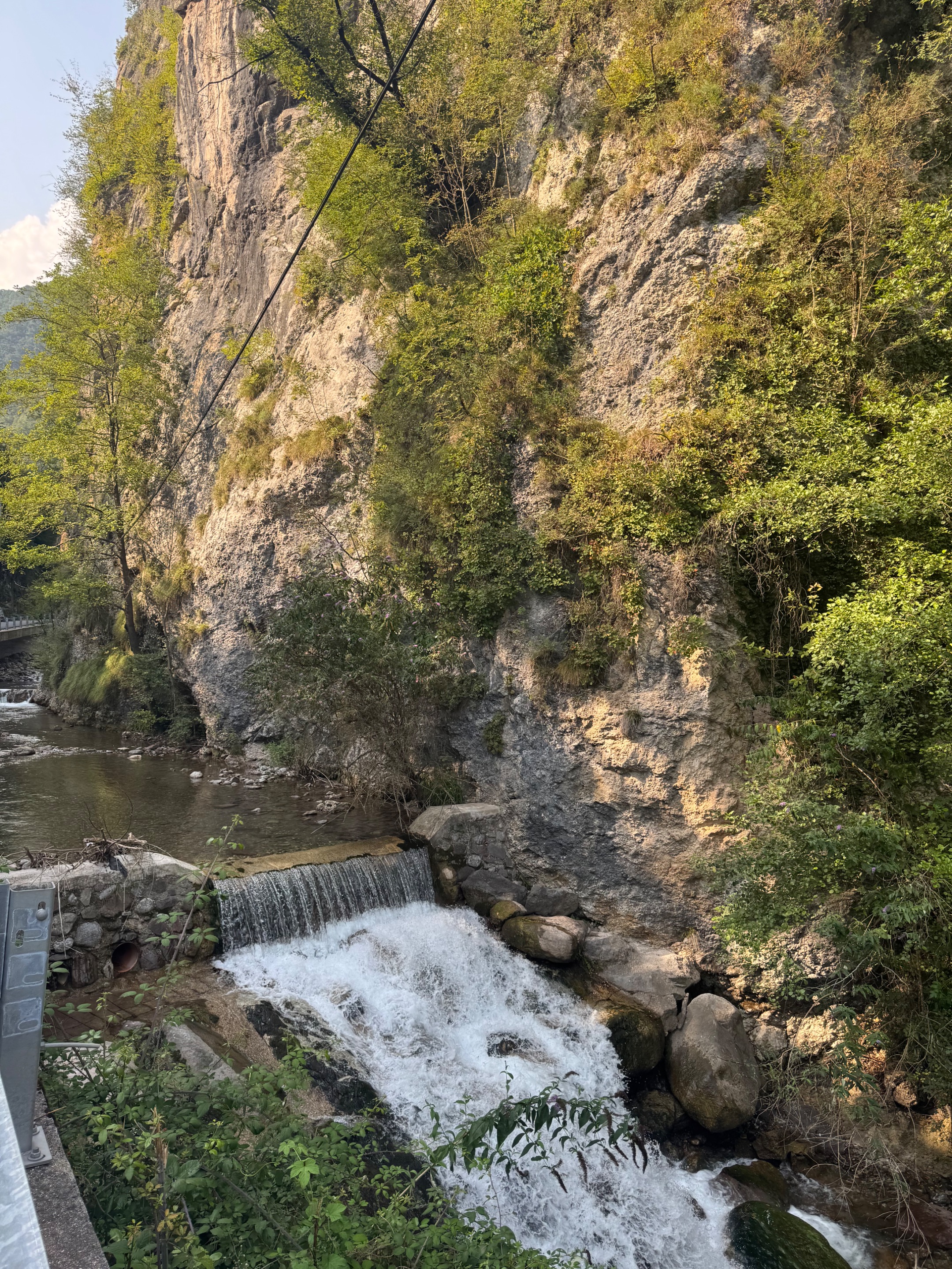 IMG_1137.jpeg