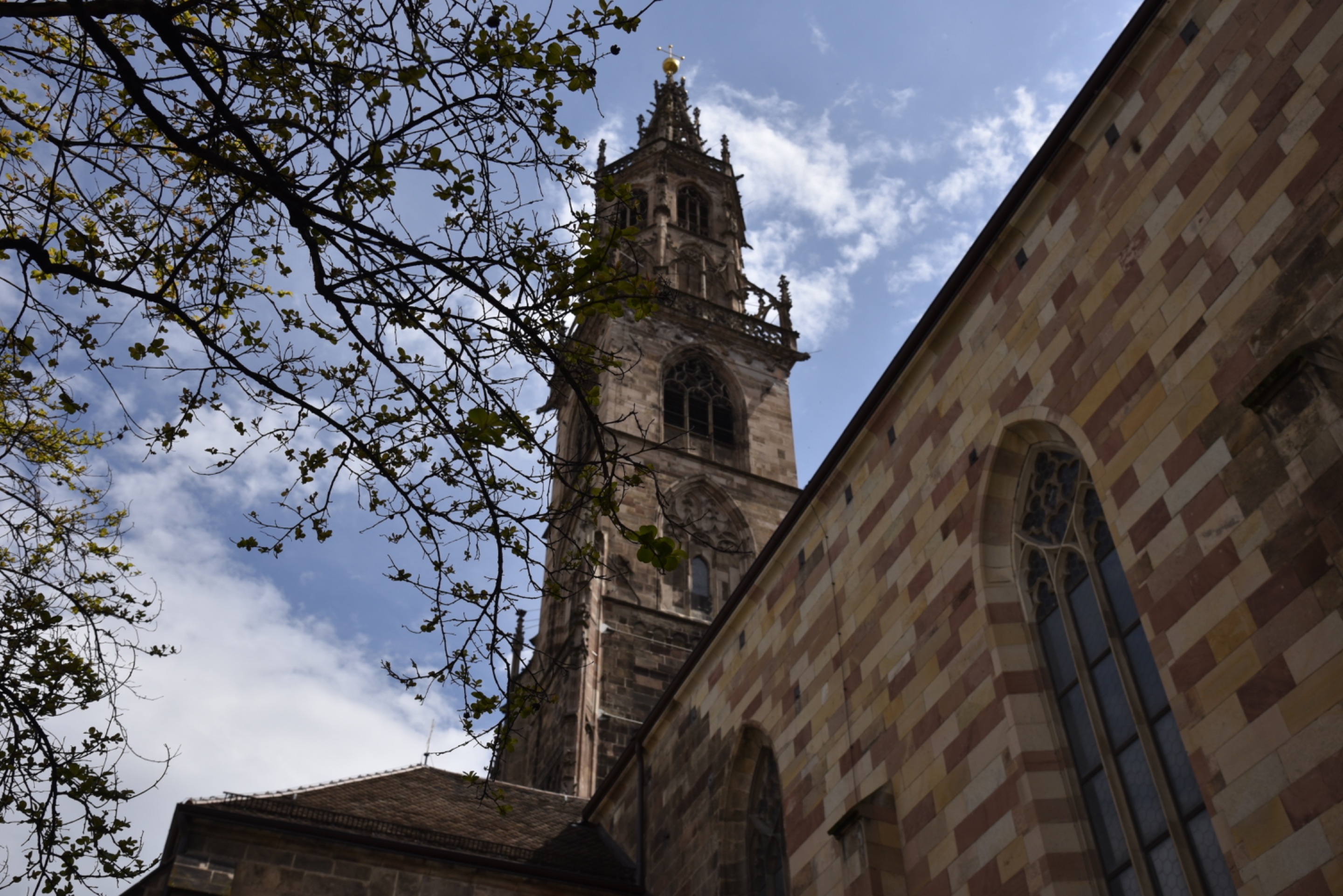 _DSC2154.jpeg