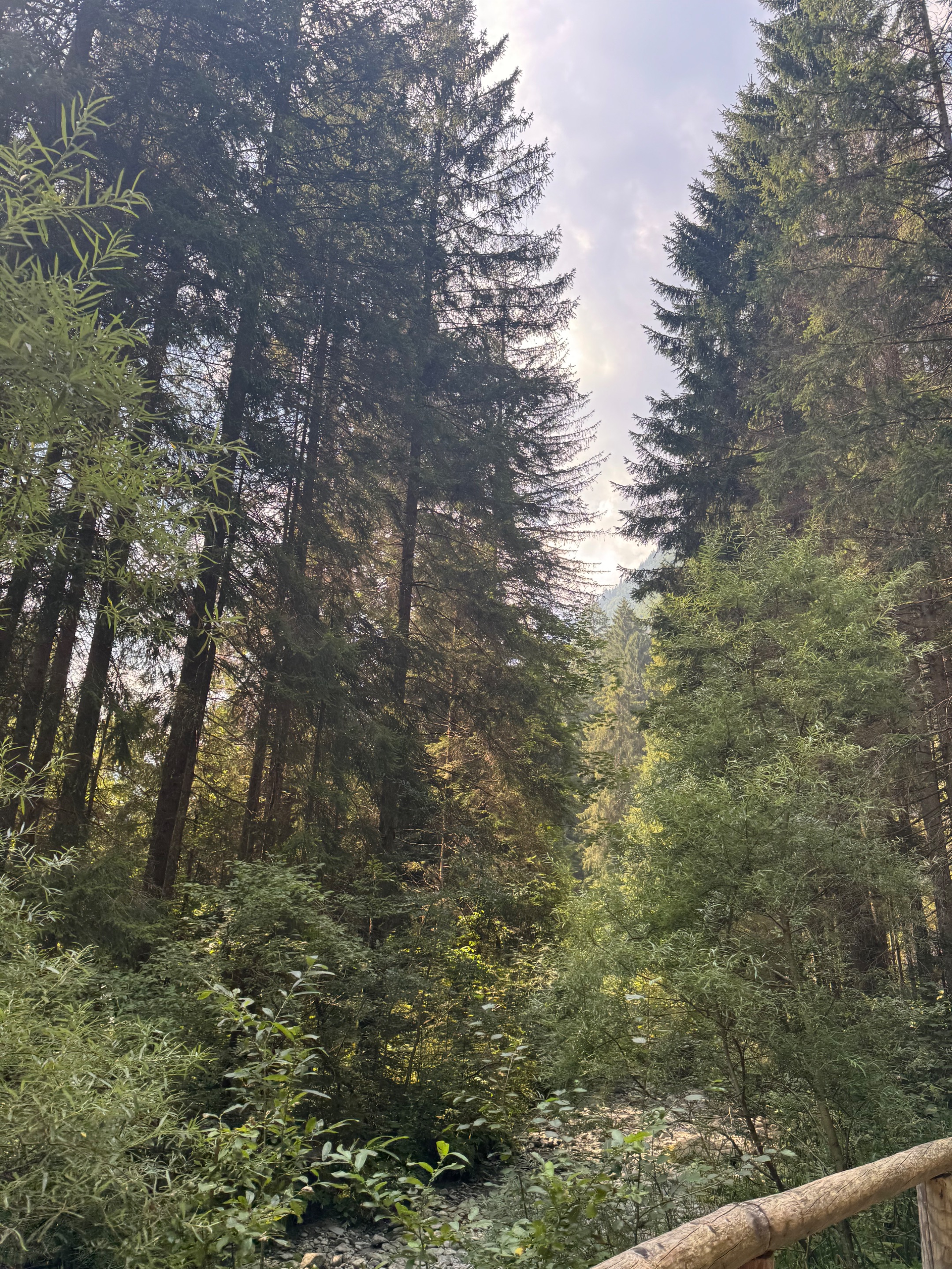 IMG_0982.jpeg