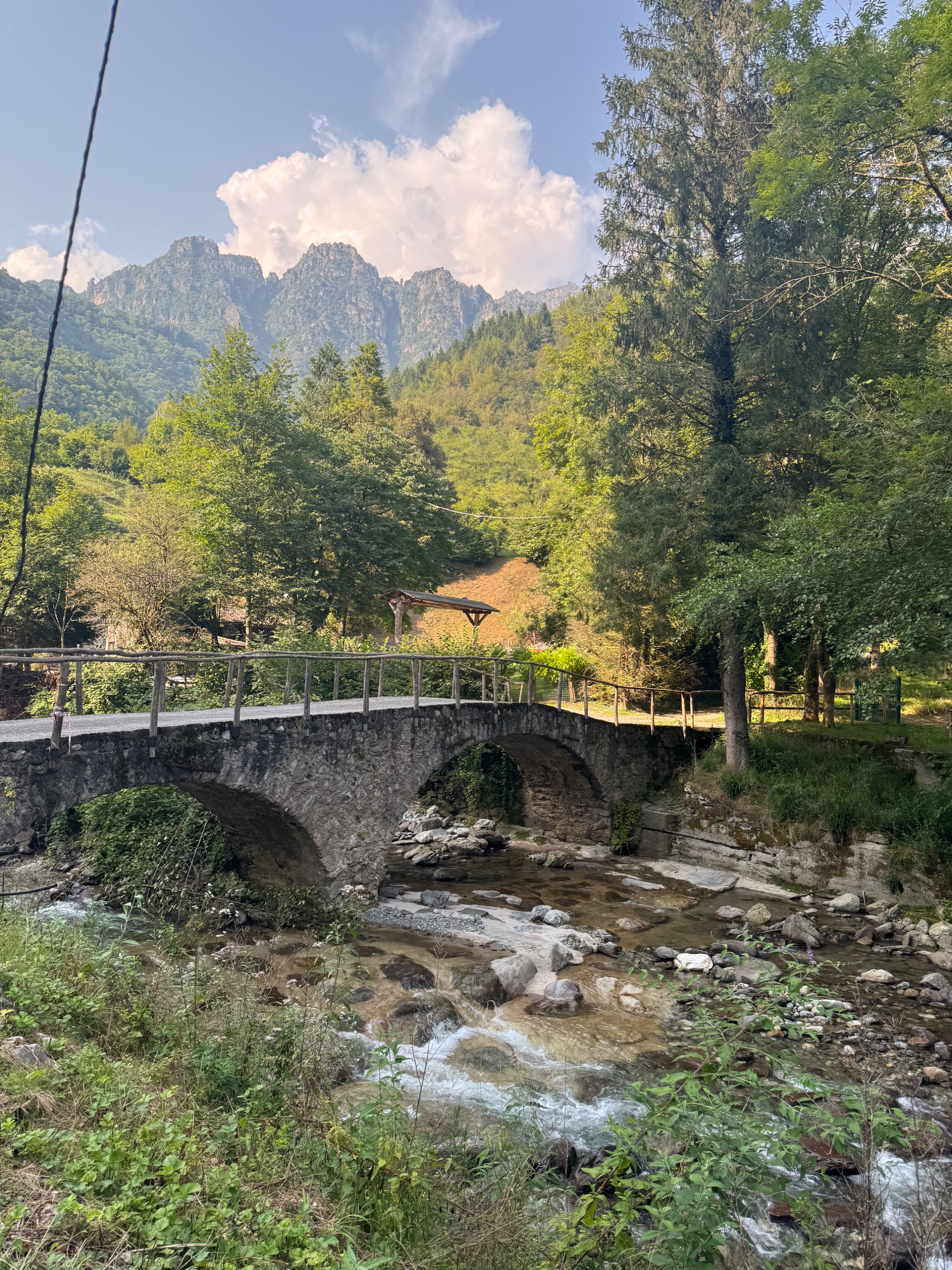 IMG_1140.jpeg