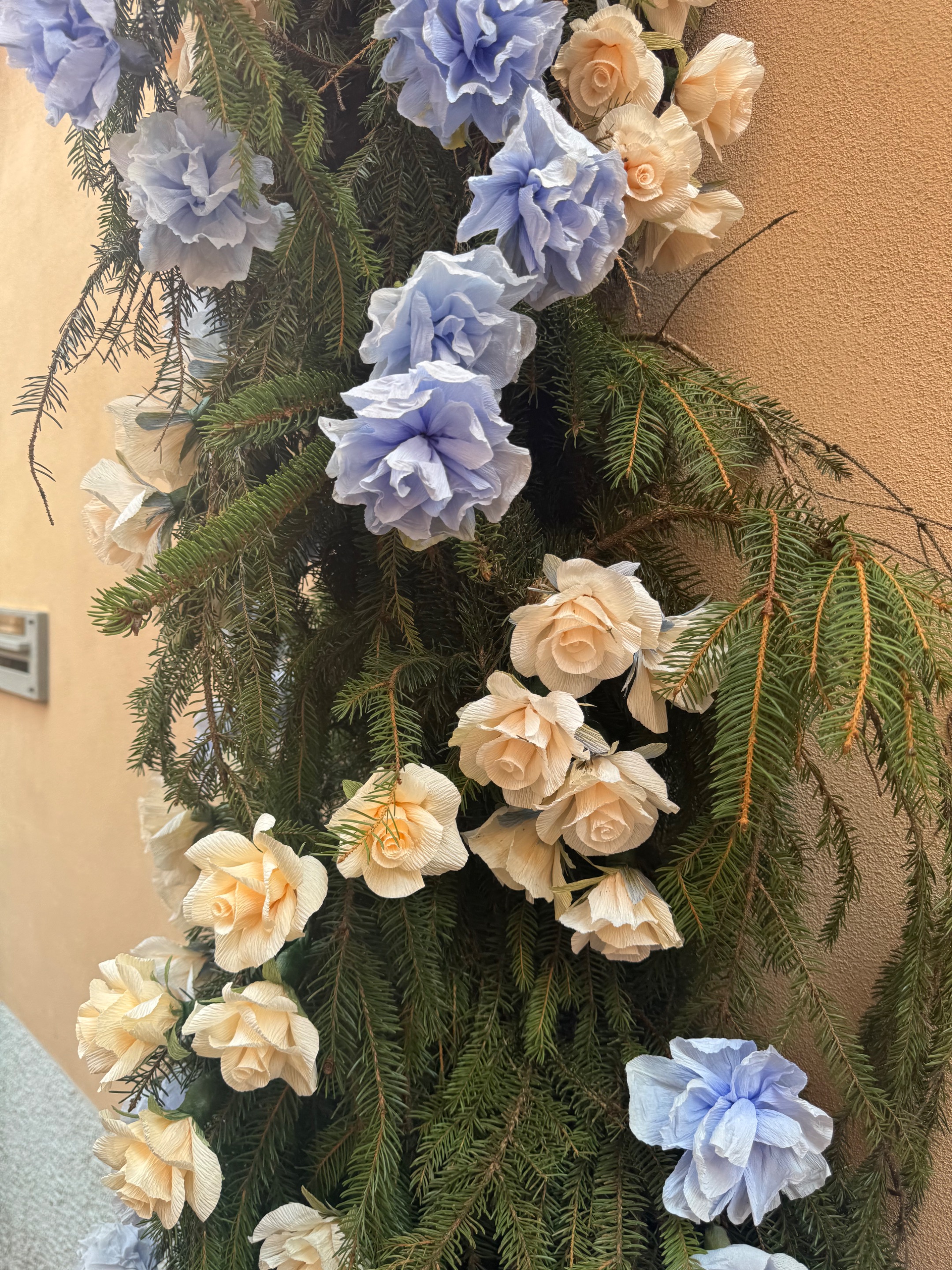 IMG_2190.jpeg
