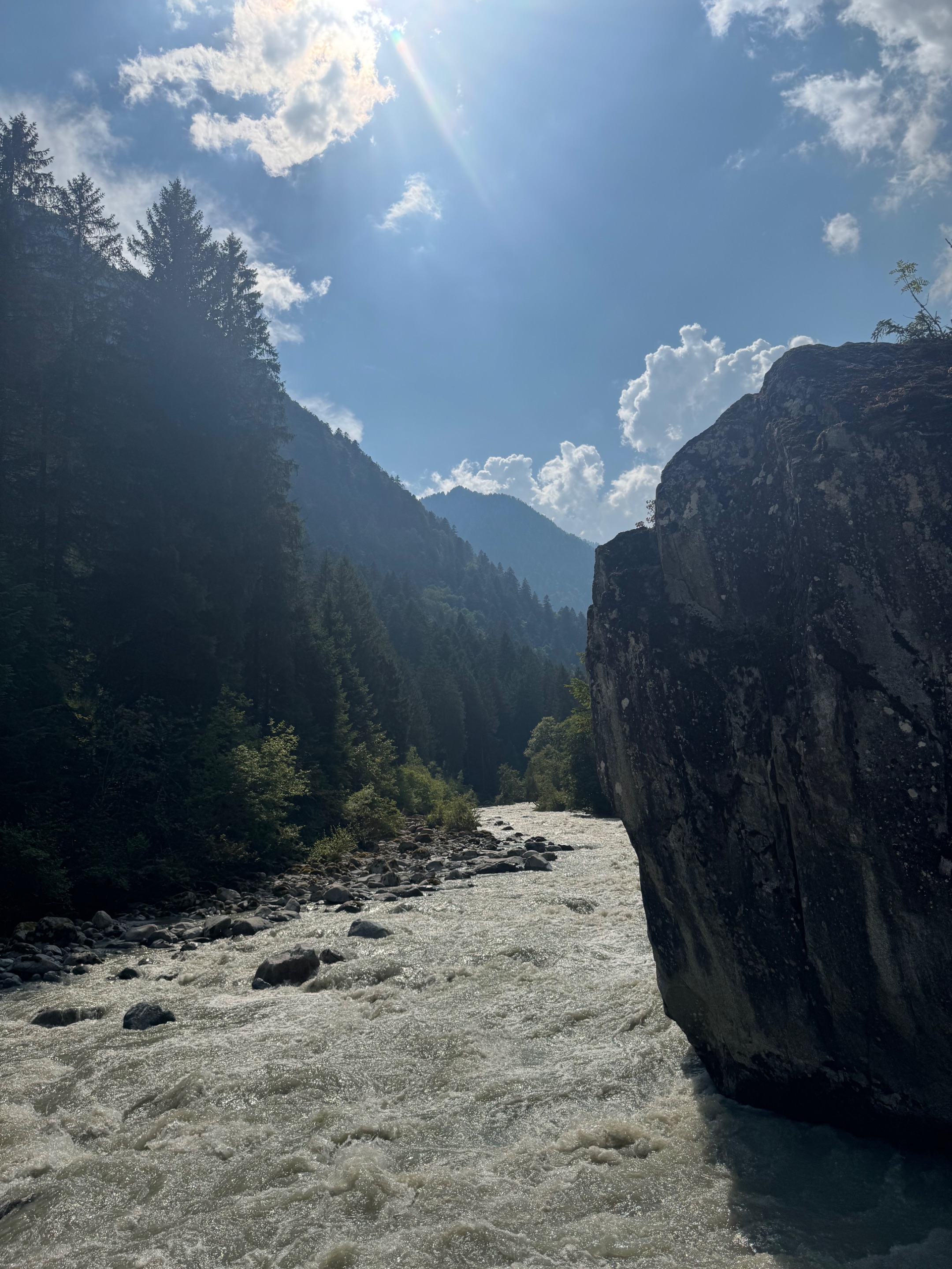 IMG_1041.jpeg
