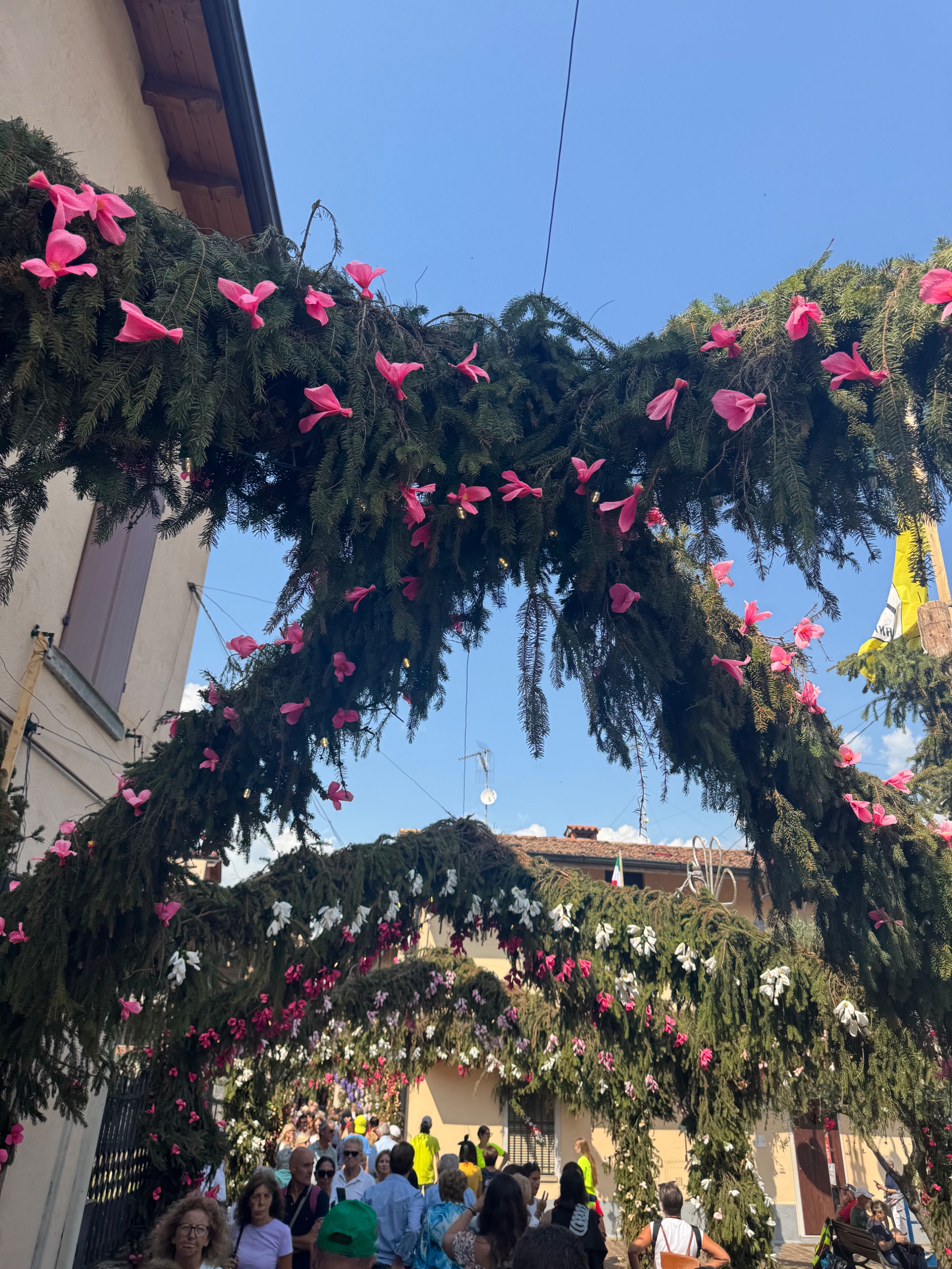 IMG_2177.jpeg