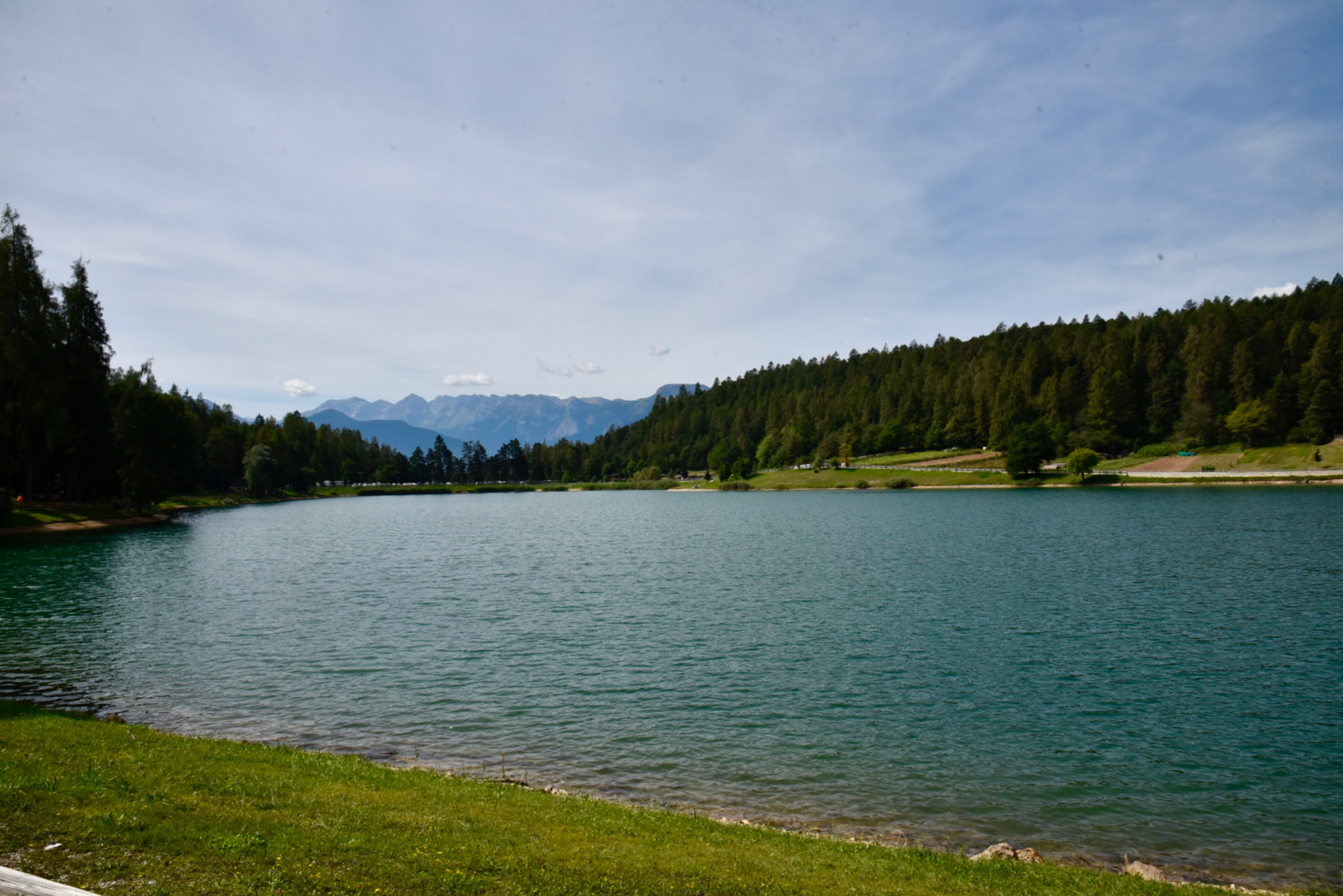 _DSC9626.jpeg
