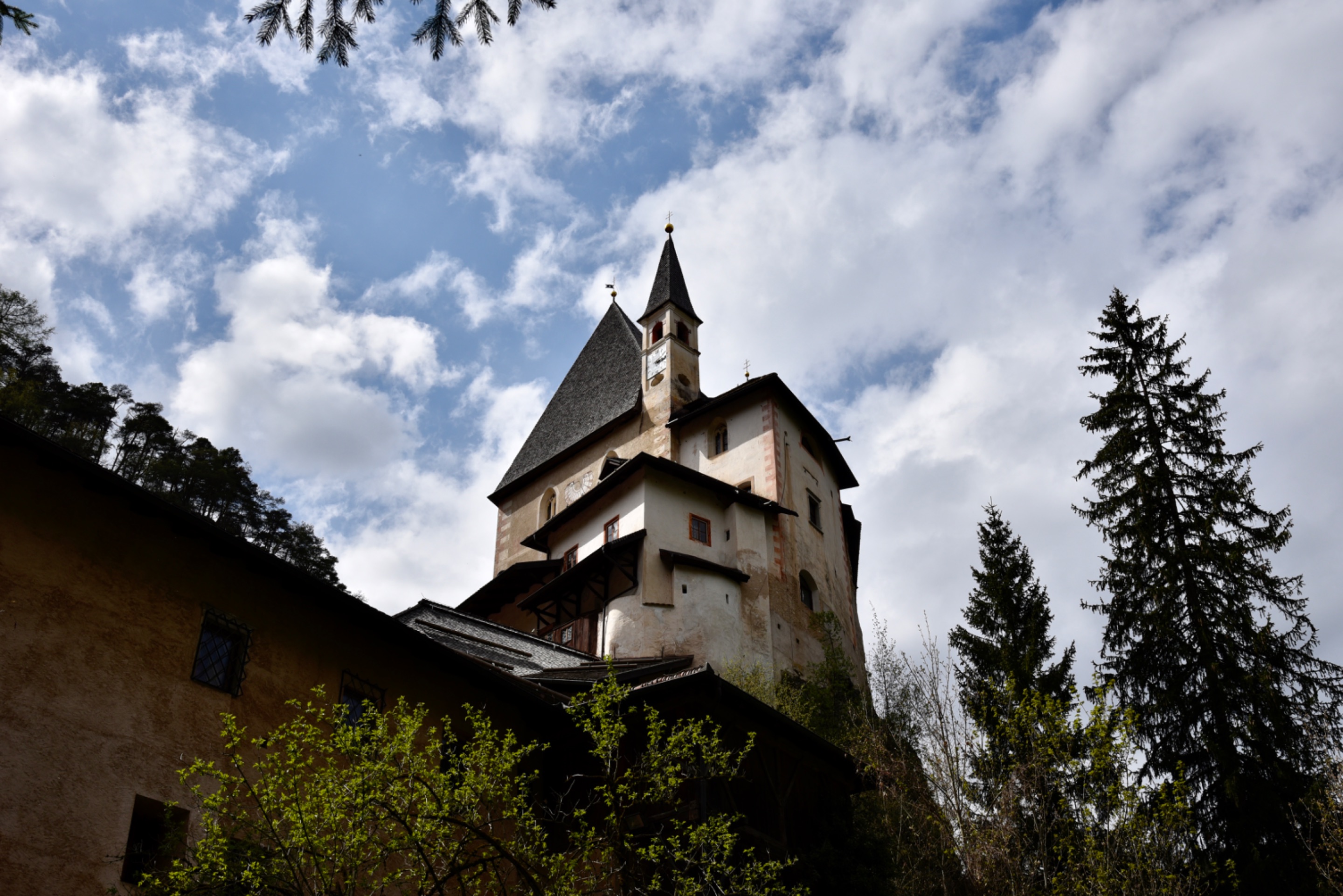 _DSC2217.jpeg