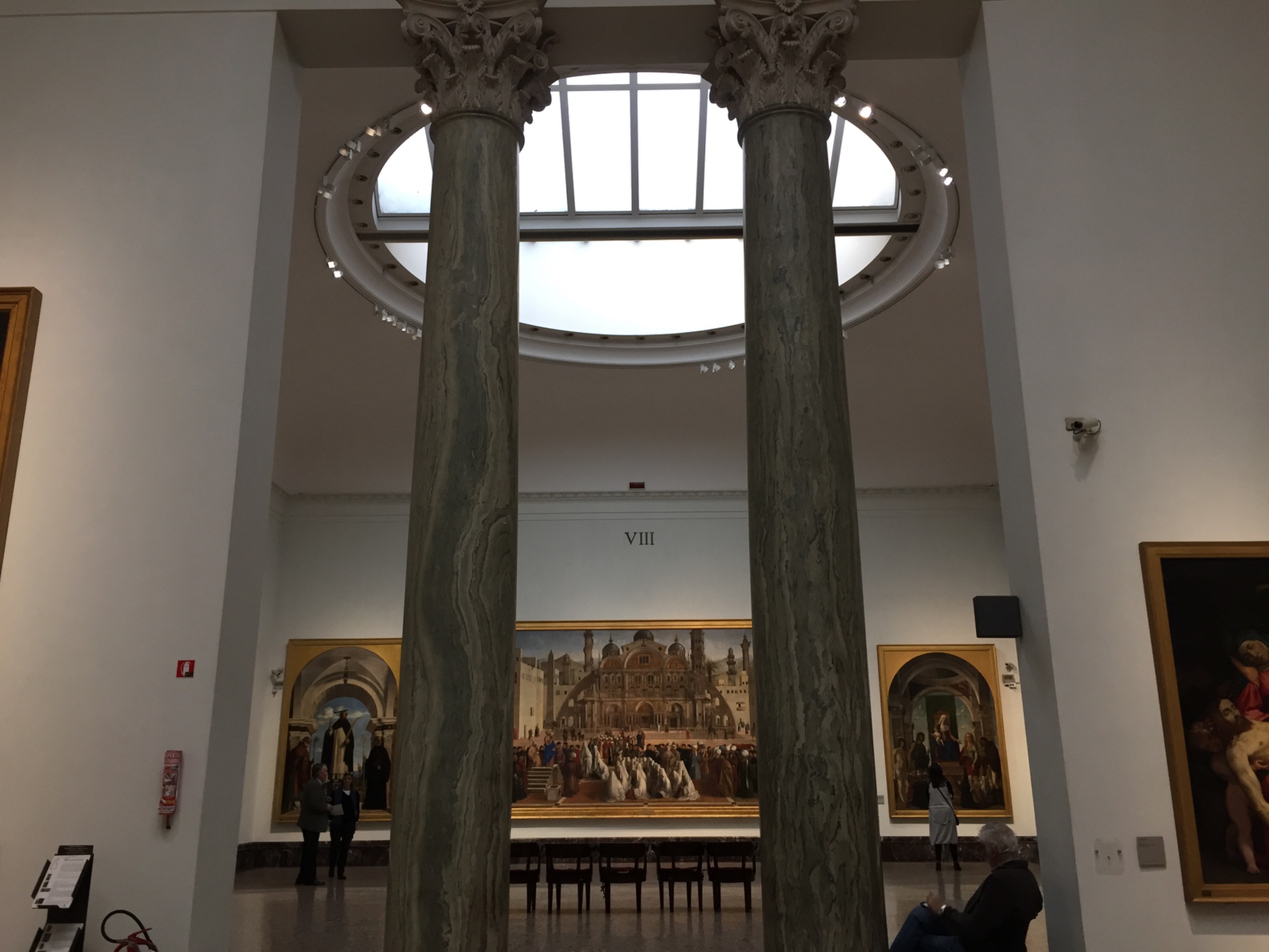 IMG_2083.jpeg